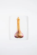 StigerWoods wooden tile Fresh Garlic