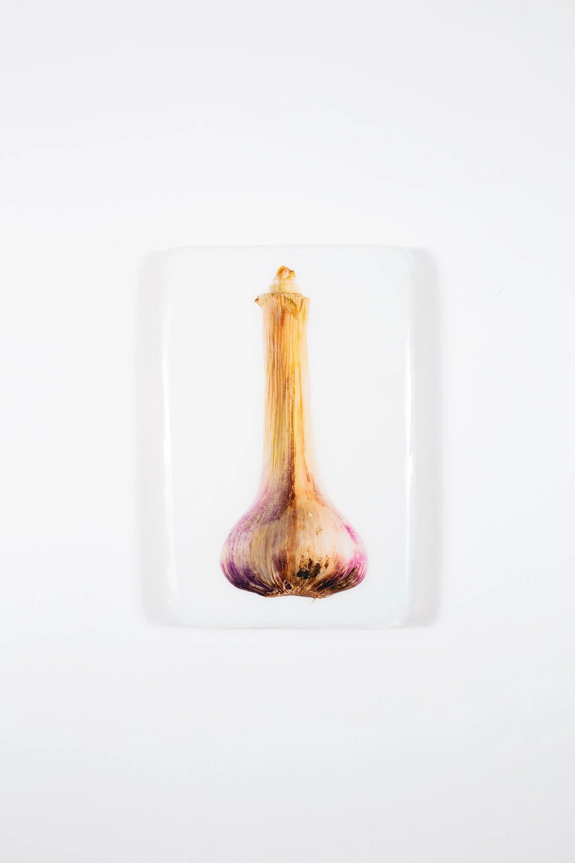 StigerWoods wooden tile Fresh Garlic