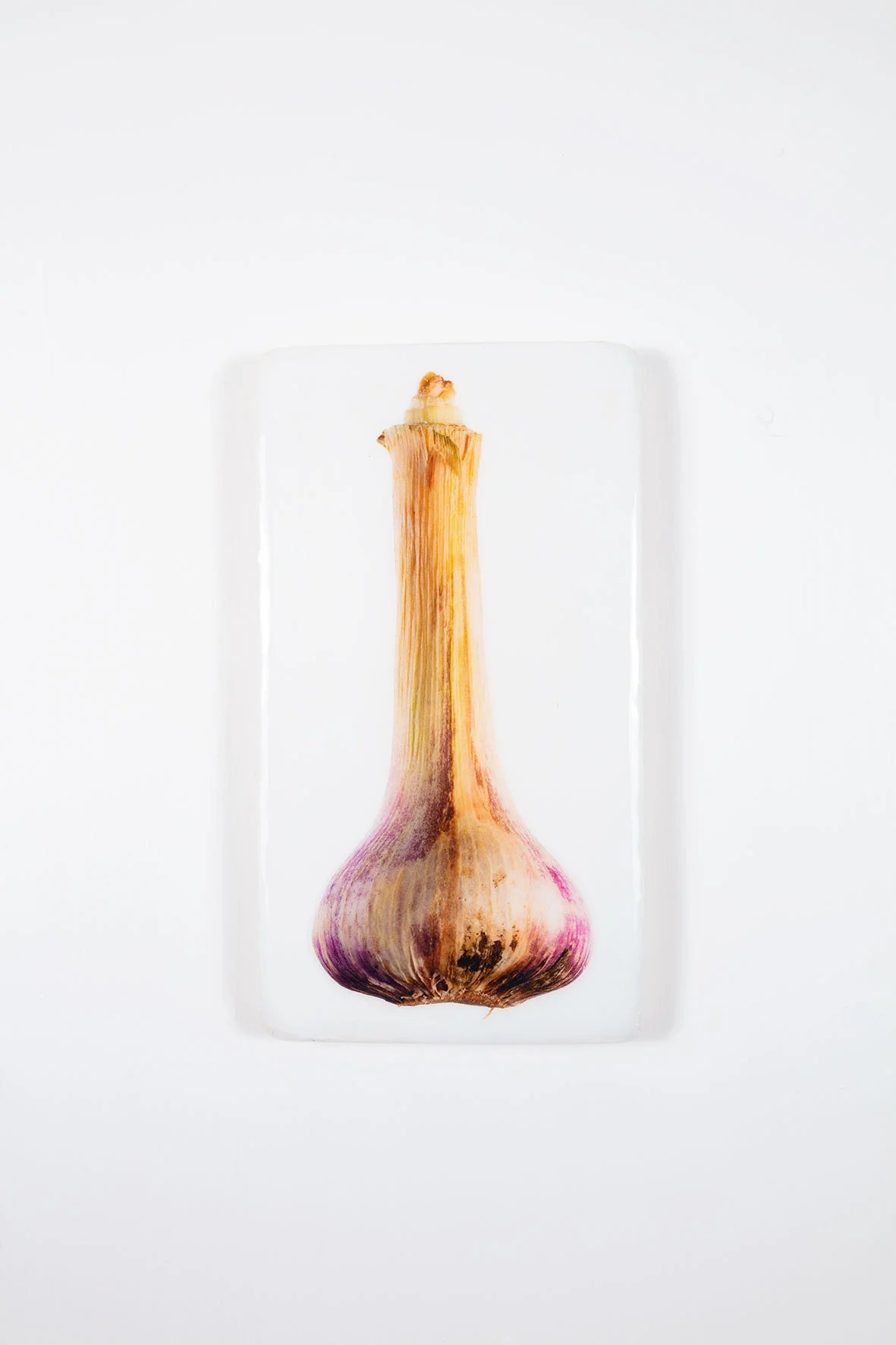 StigerWoods wooden tile Fresh Garlic
