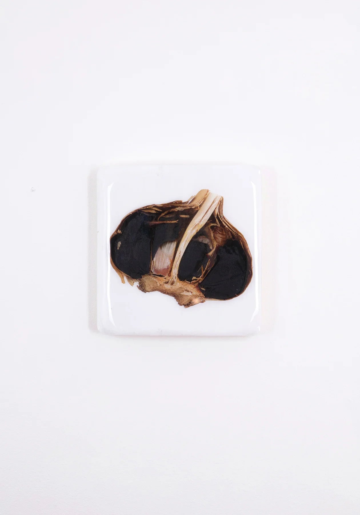 StigerWoods wooden tile Black Garlic