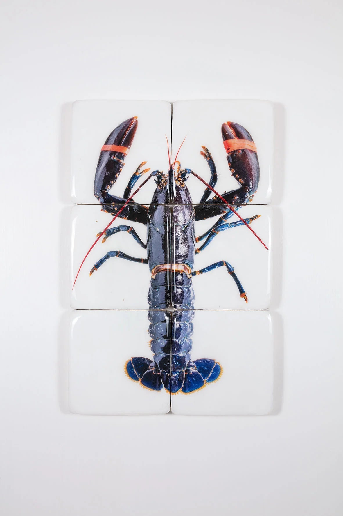 StigerWoods wooden tile Blue European Lobster