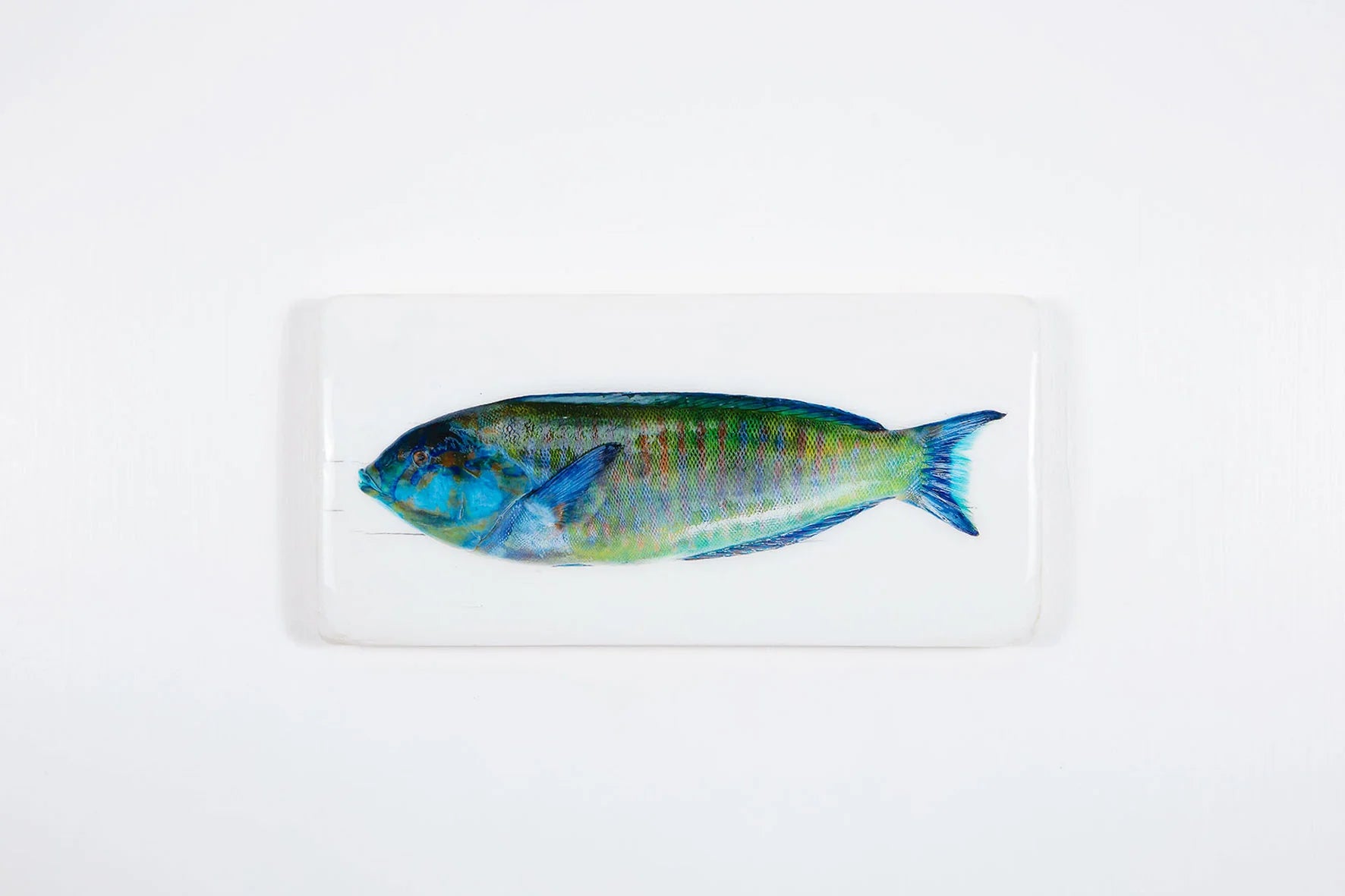 StigerWoods wooden tile Blue Green Parrot Fish