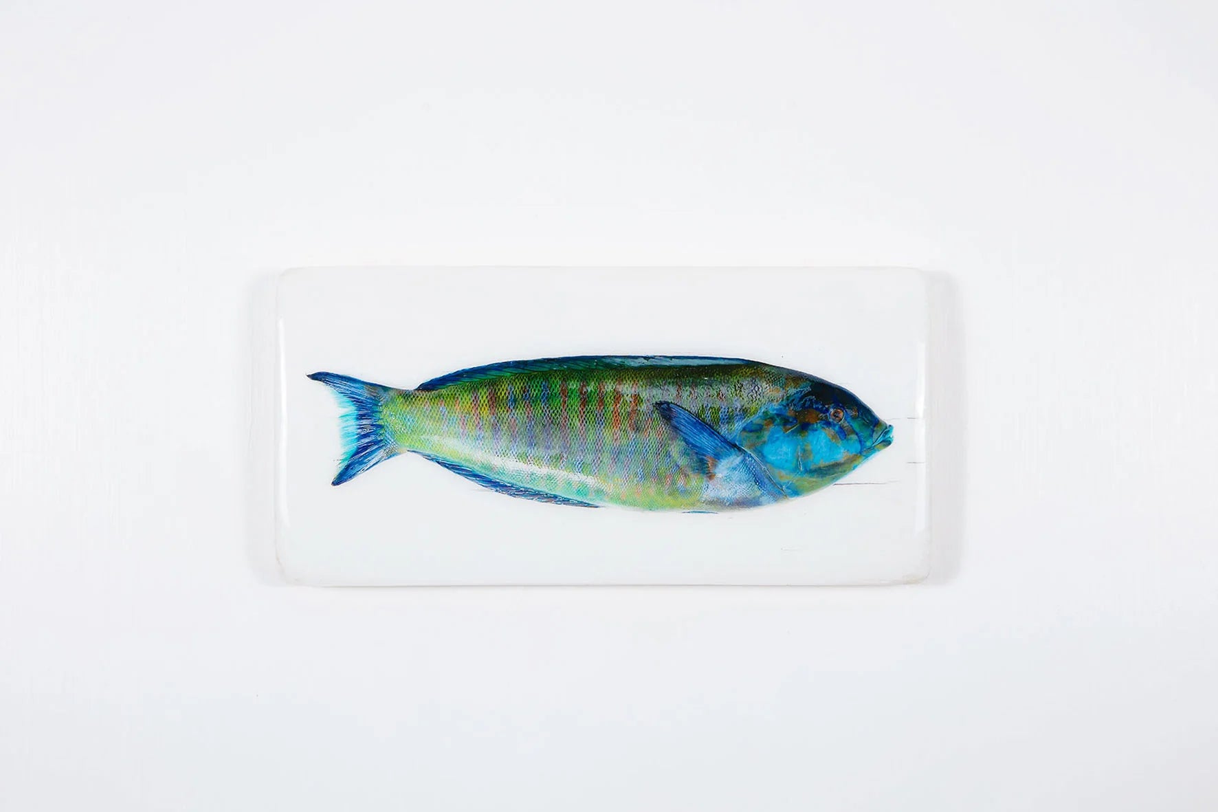StigerWoods wooden tile Blue Green Parrot Fish