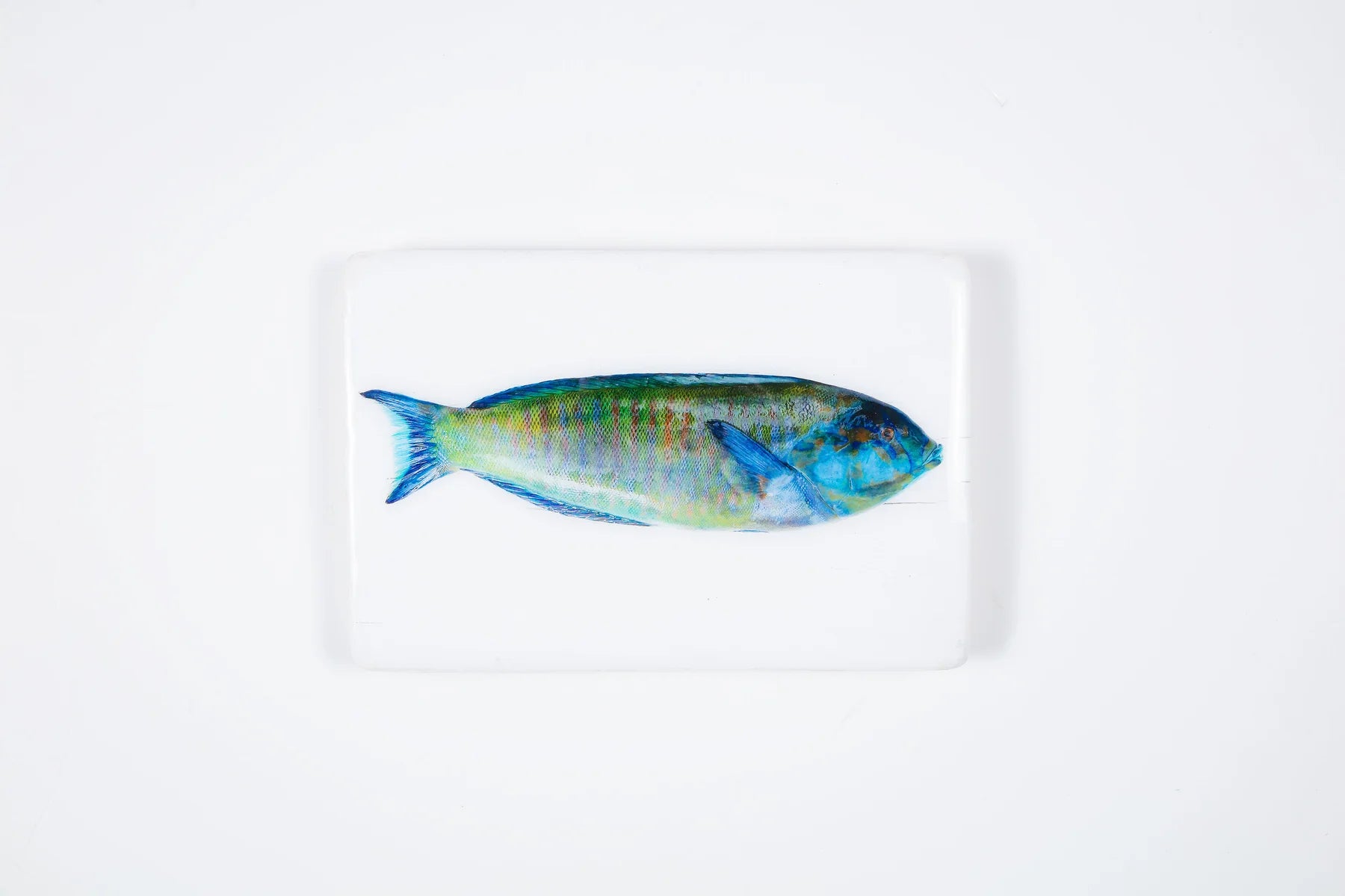 StigerWoods wooden tile Blue Green Parrot Fish