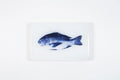 StigerWoods wooden tile Blue Snapper