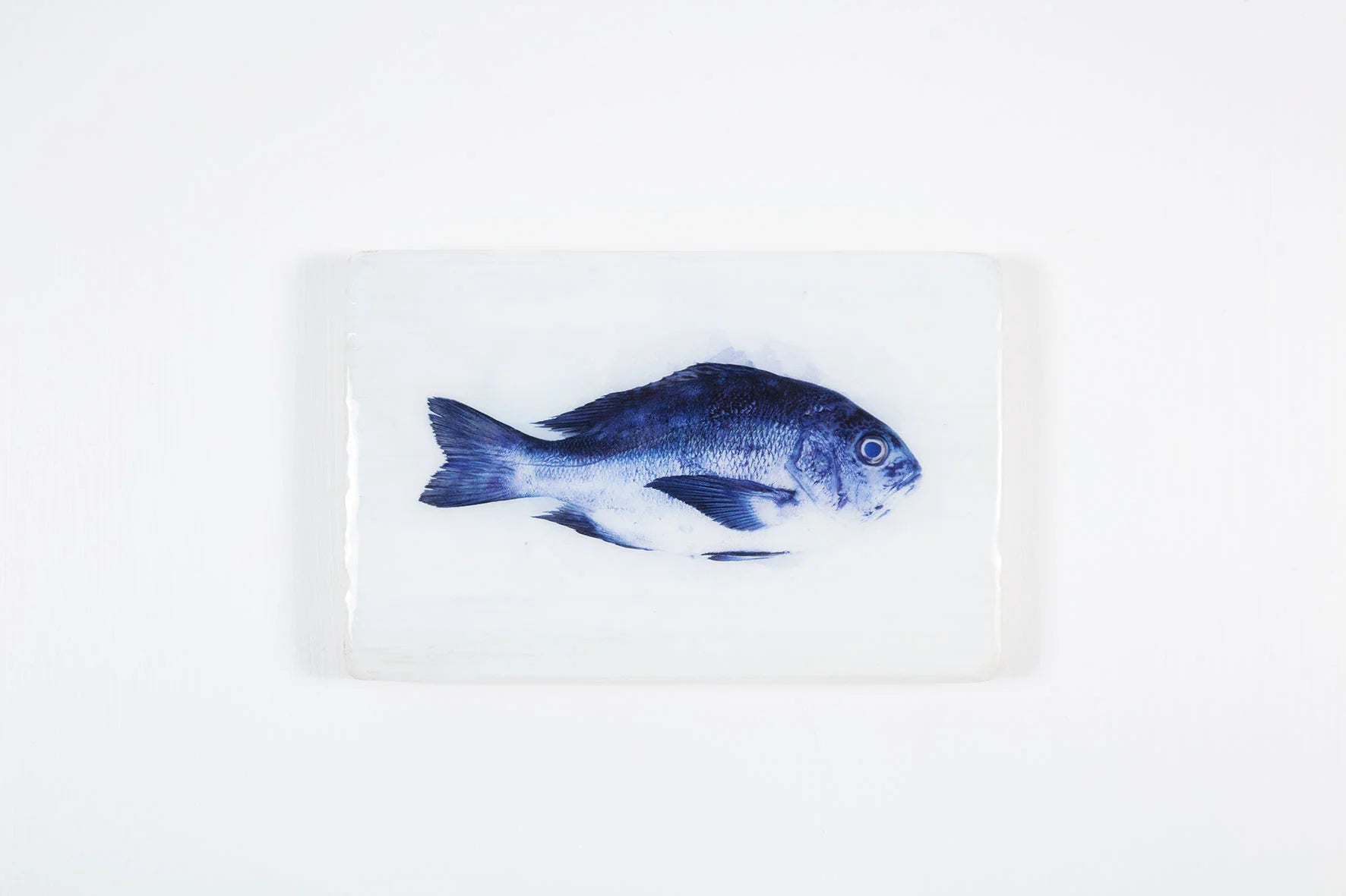StigerWoods wooden tile Blue Snapper