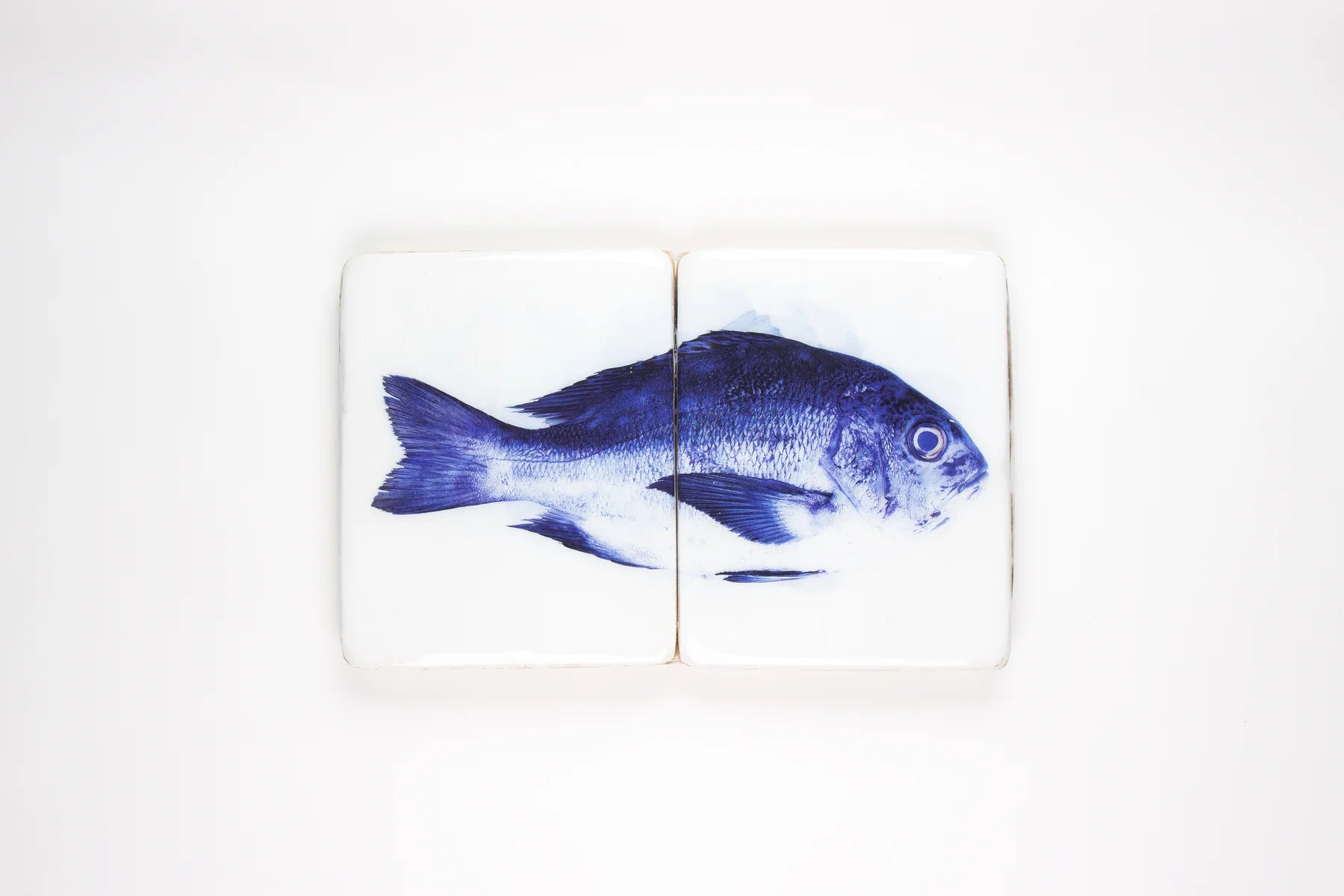 StigerWoods wooden tile Blue Snapper
