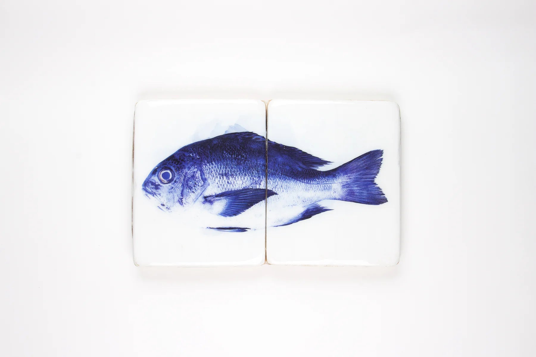 StigerWoods wooden tile Blue Snapper