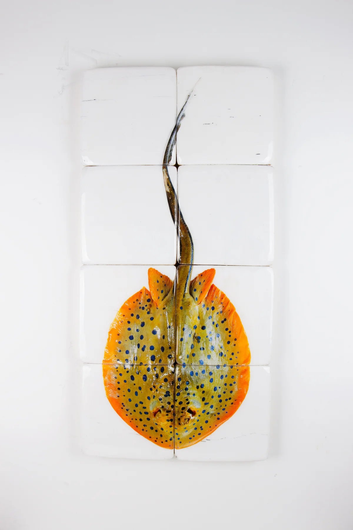 StigerWoods wooden tile Blue Spotted Stingray