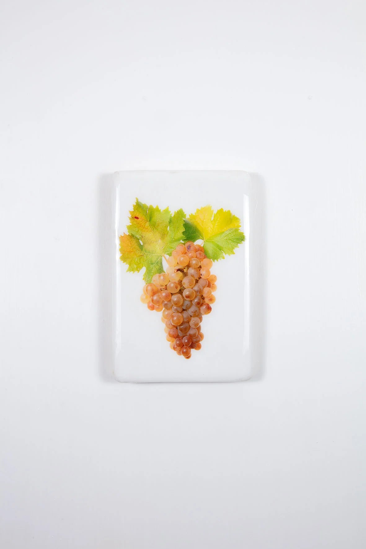 StigerWoods wooden tile Bolgheri Grattamacco Vermentino