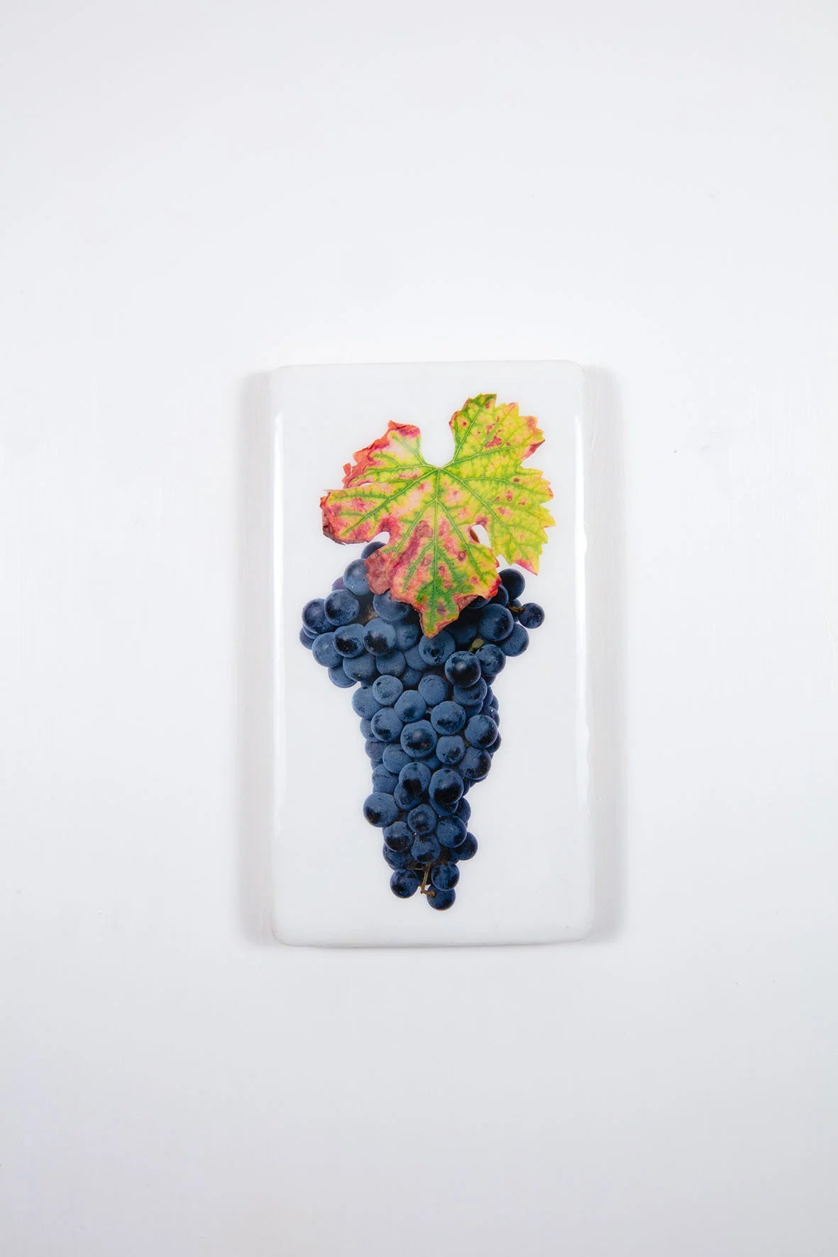 StigerWoods wooden tile Bolgheri San Guido Cabernet Sauvignon