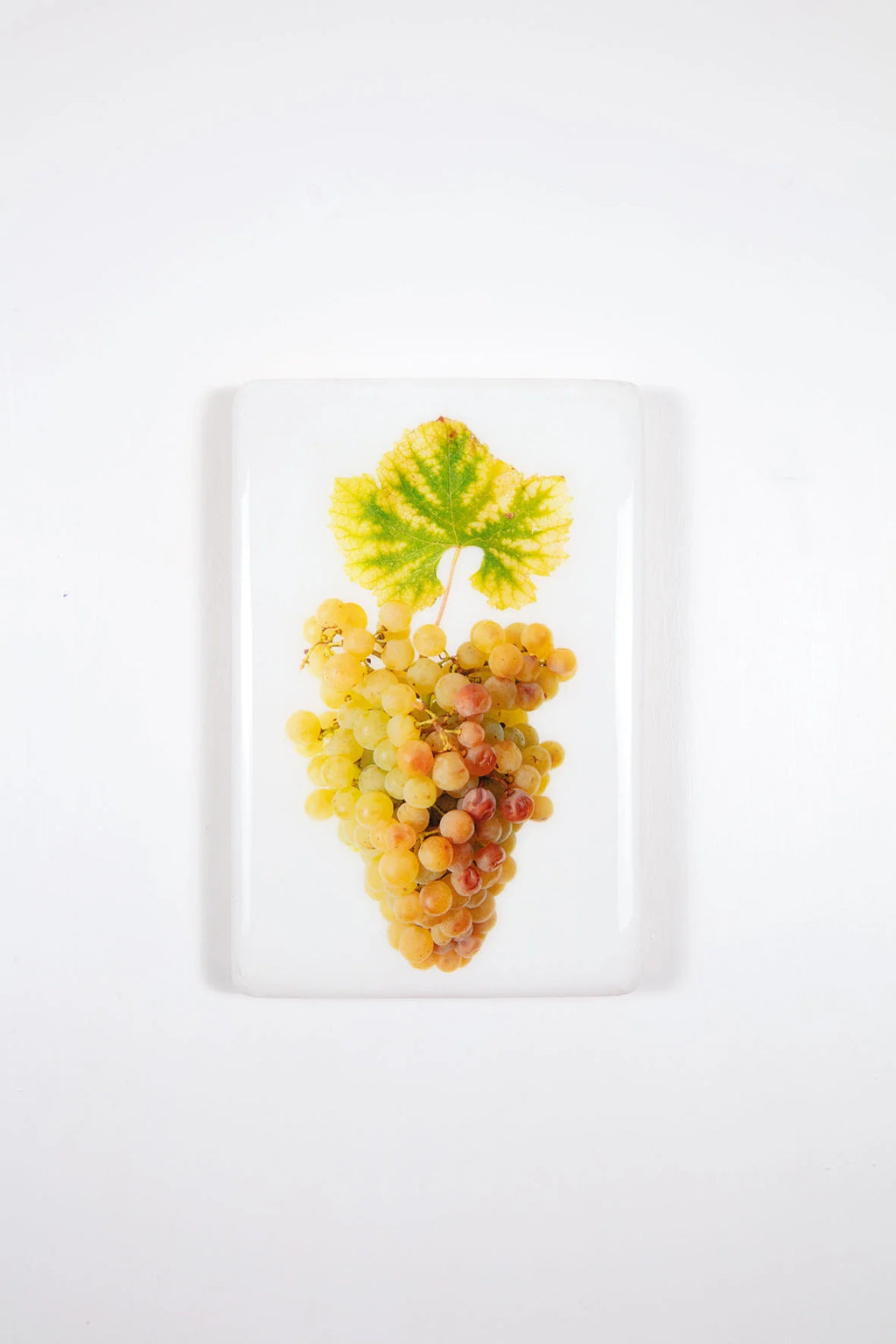 StigerWoods wooden tile Bordeaux Sauternes Château d'Yquem Sauvignon