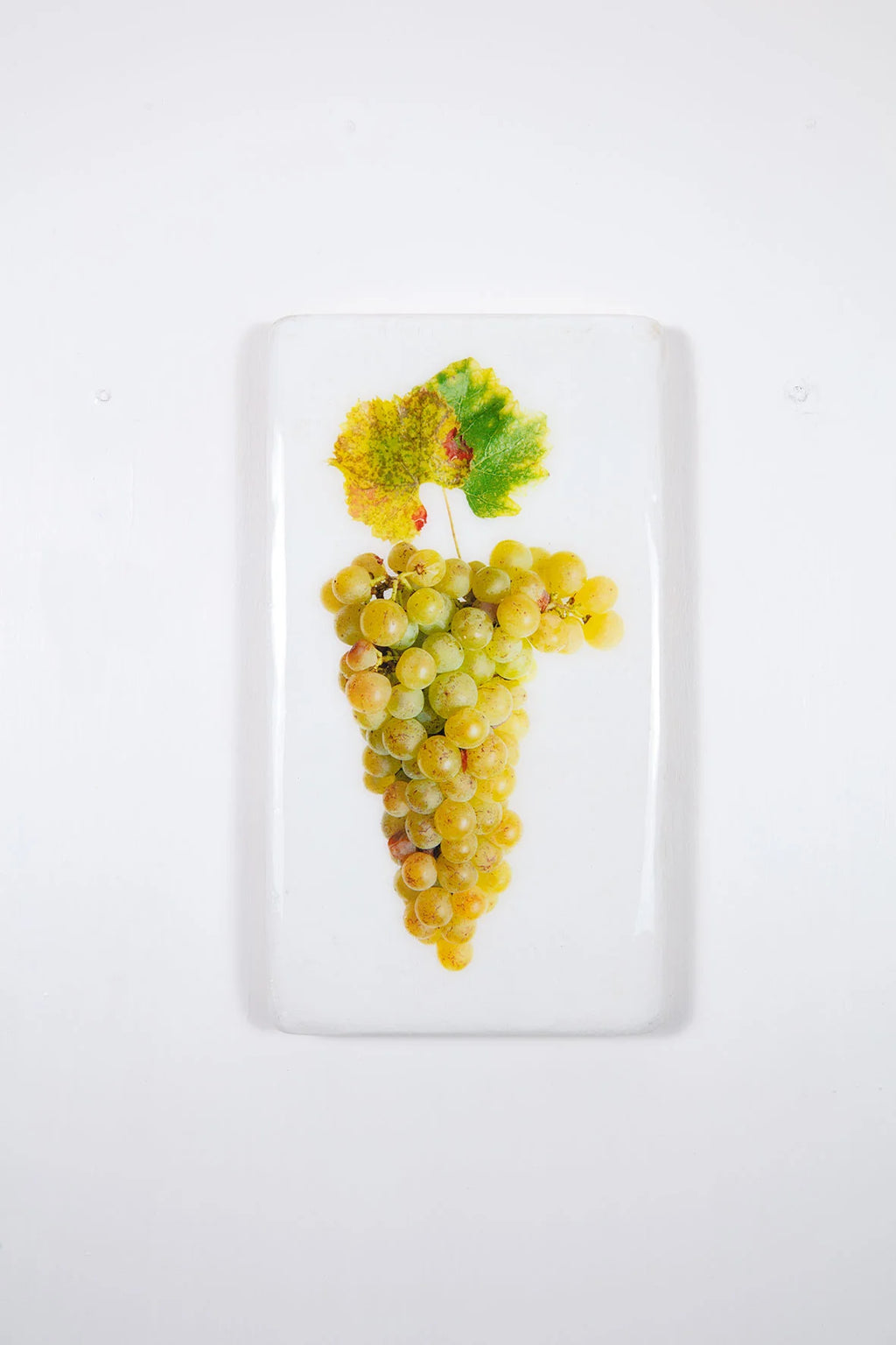 StigerWoods wooden tile Bordeaux Sauternes Château d'Yquem Sauvignon