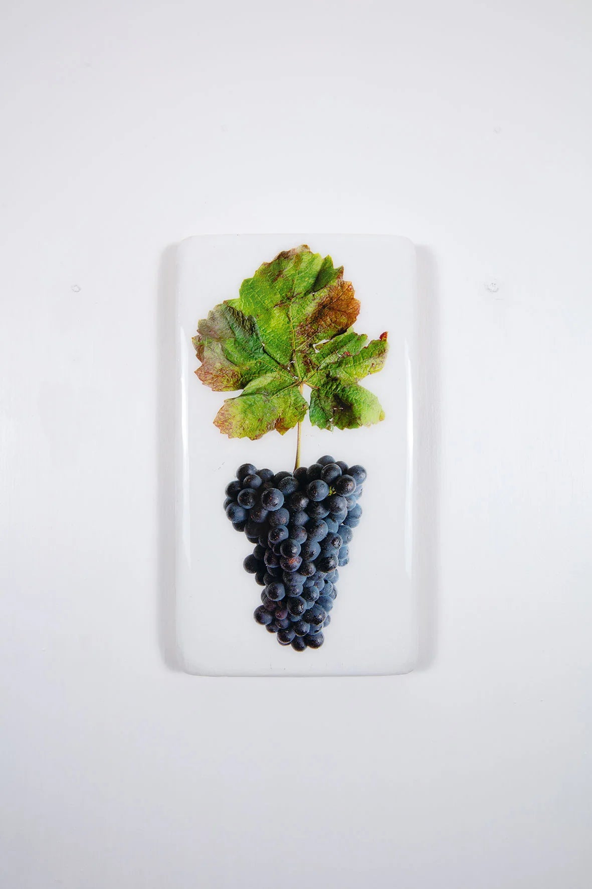 StigerWoods wooden tile Bourgogne Pommard Clos Épenaux Pinot Noir