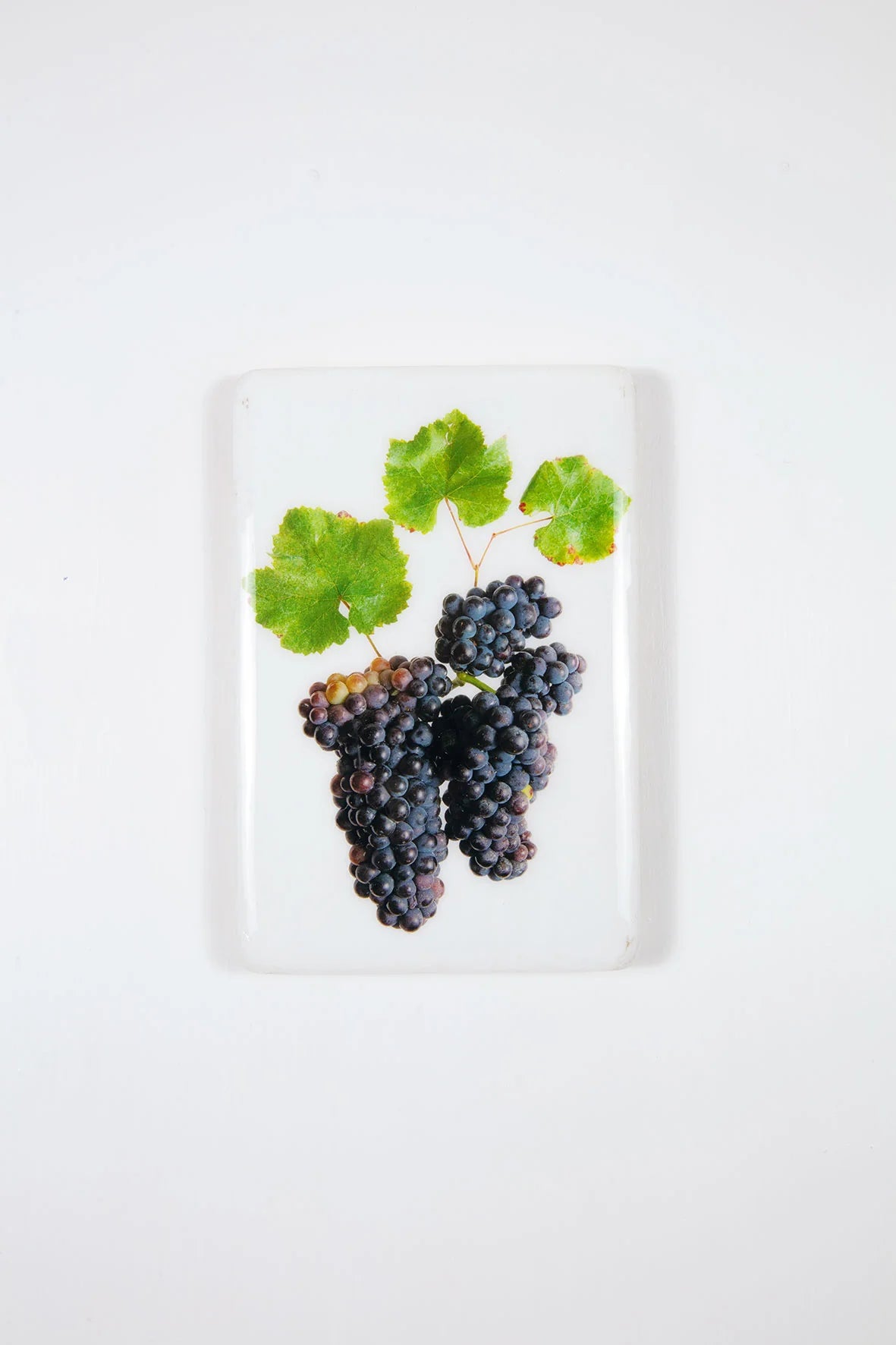 StigerWoods wooden tile Bourgogne Pommard Les Grandes Épenots Pinot Noir