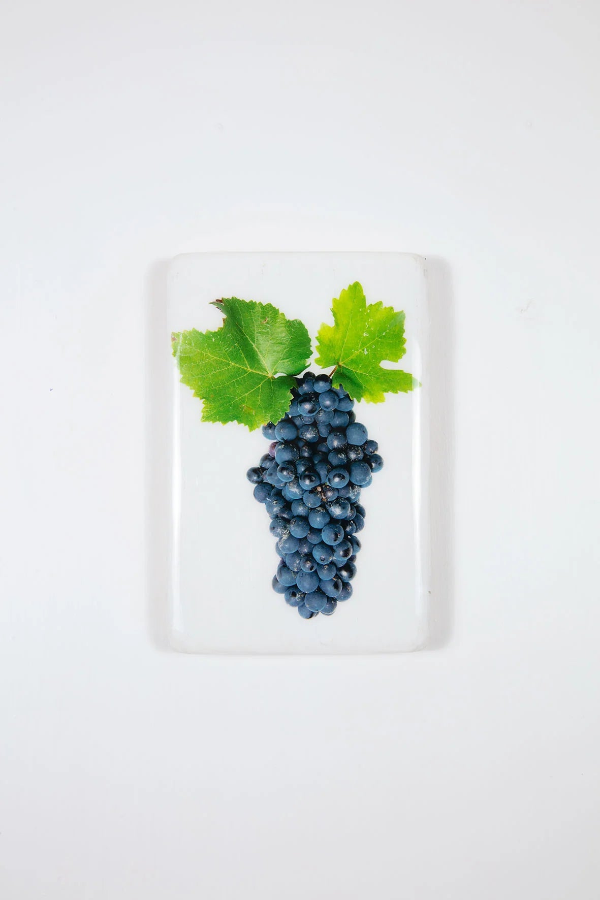 StigerWoods wooden tile Bourgogne Romanée-Conti Pinot Noir