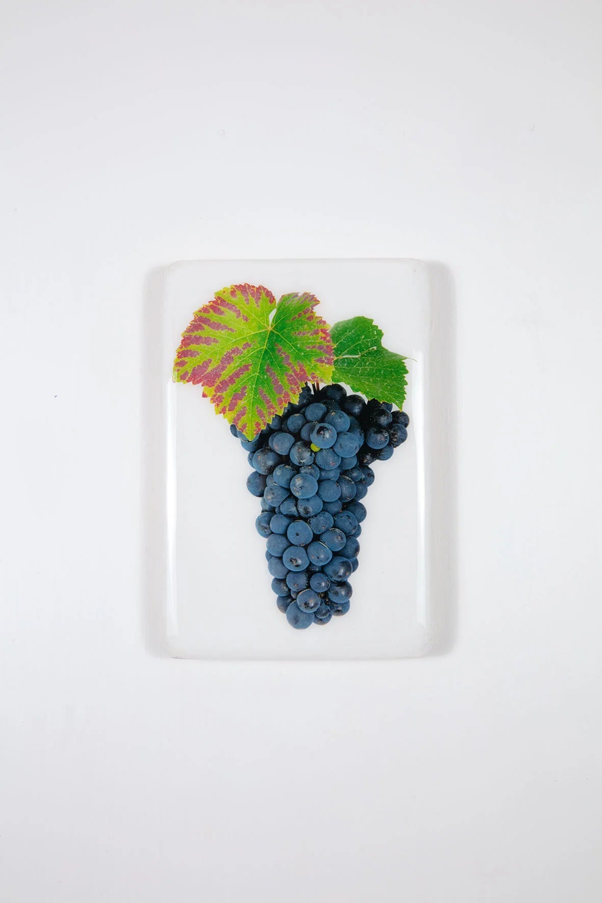 StigerWoods wooden tile Bourgogne Romanée-Conti Pinot Noir