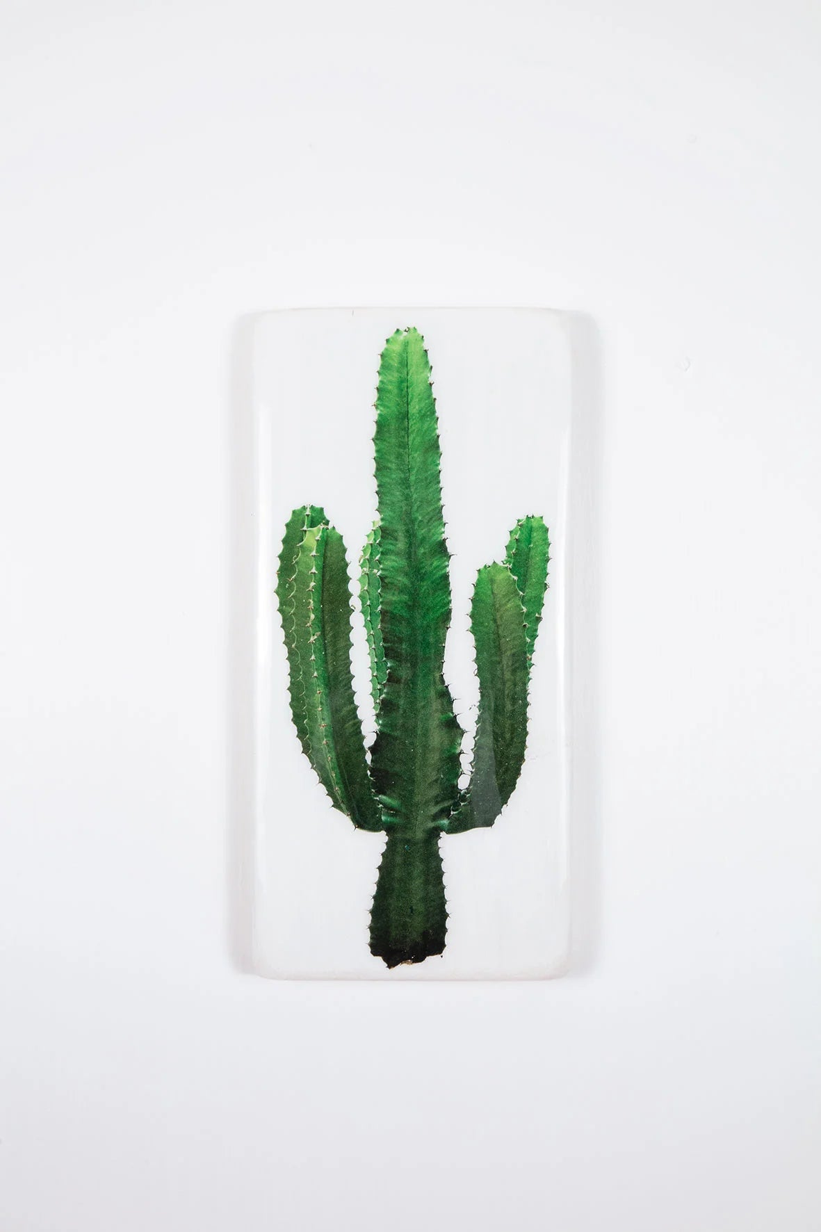 StigerWoods wooden tile Cactus