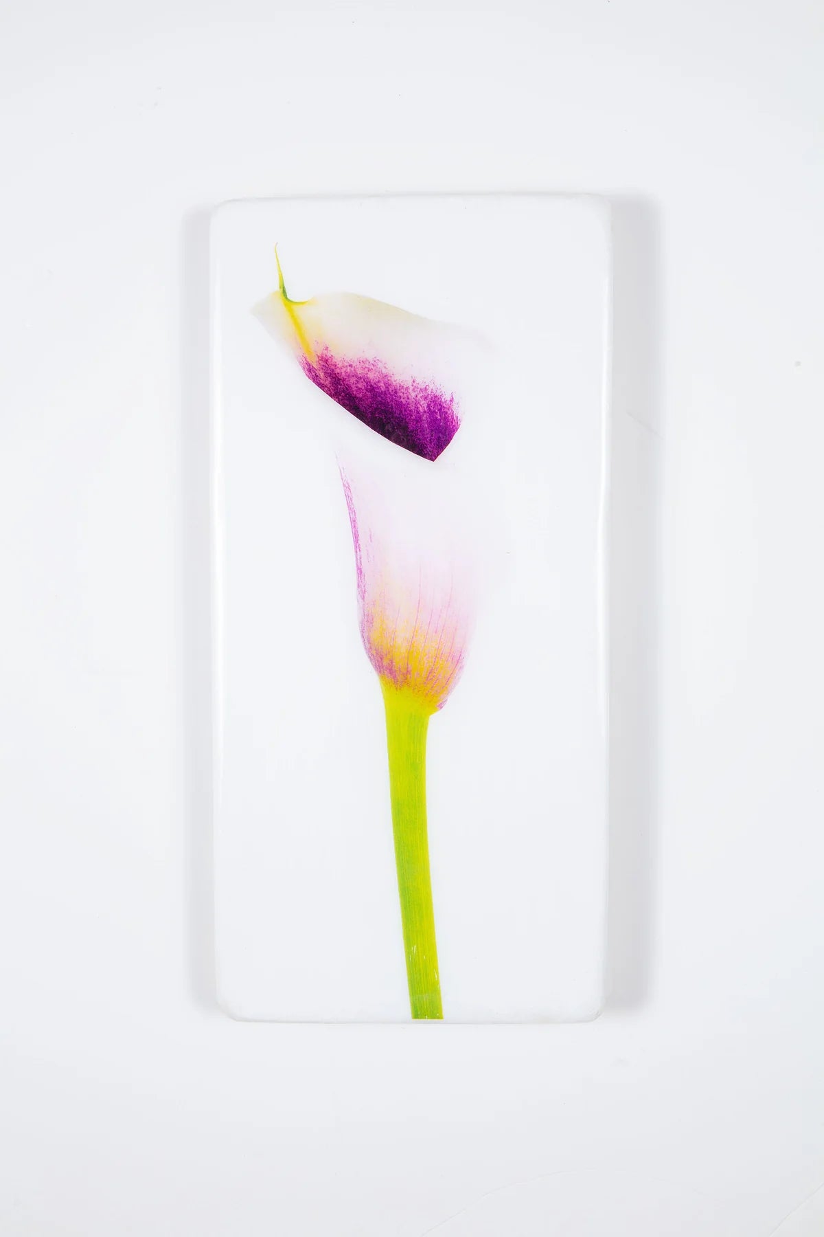 StigerWoods wooden tile Calla