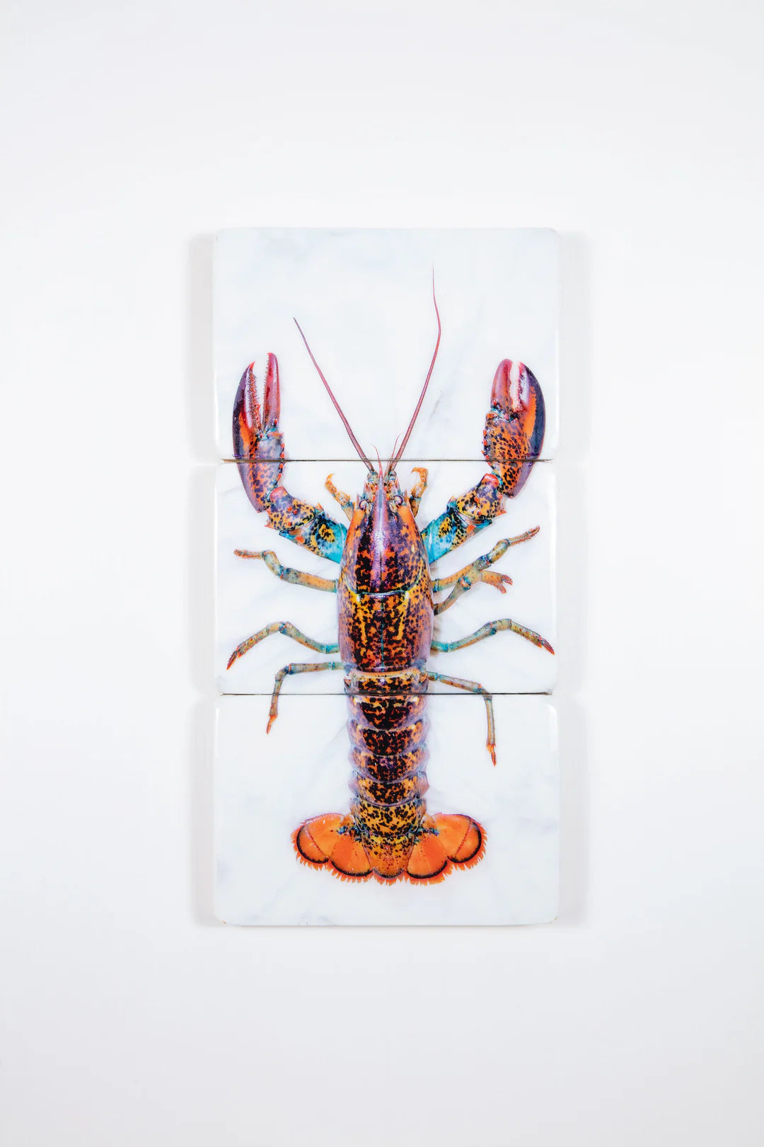 StigerWoods wooden tile Canner Lobster