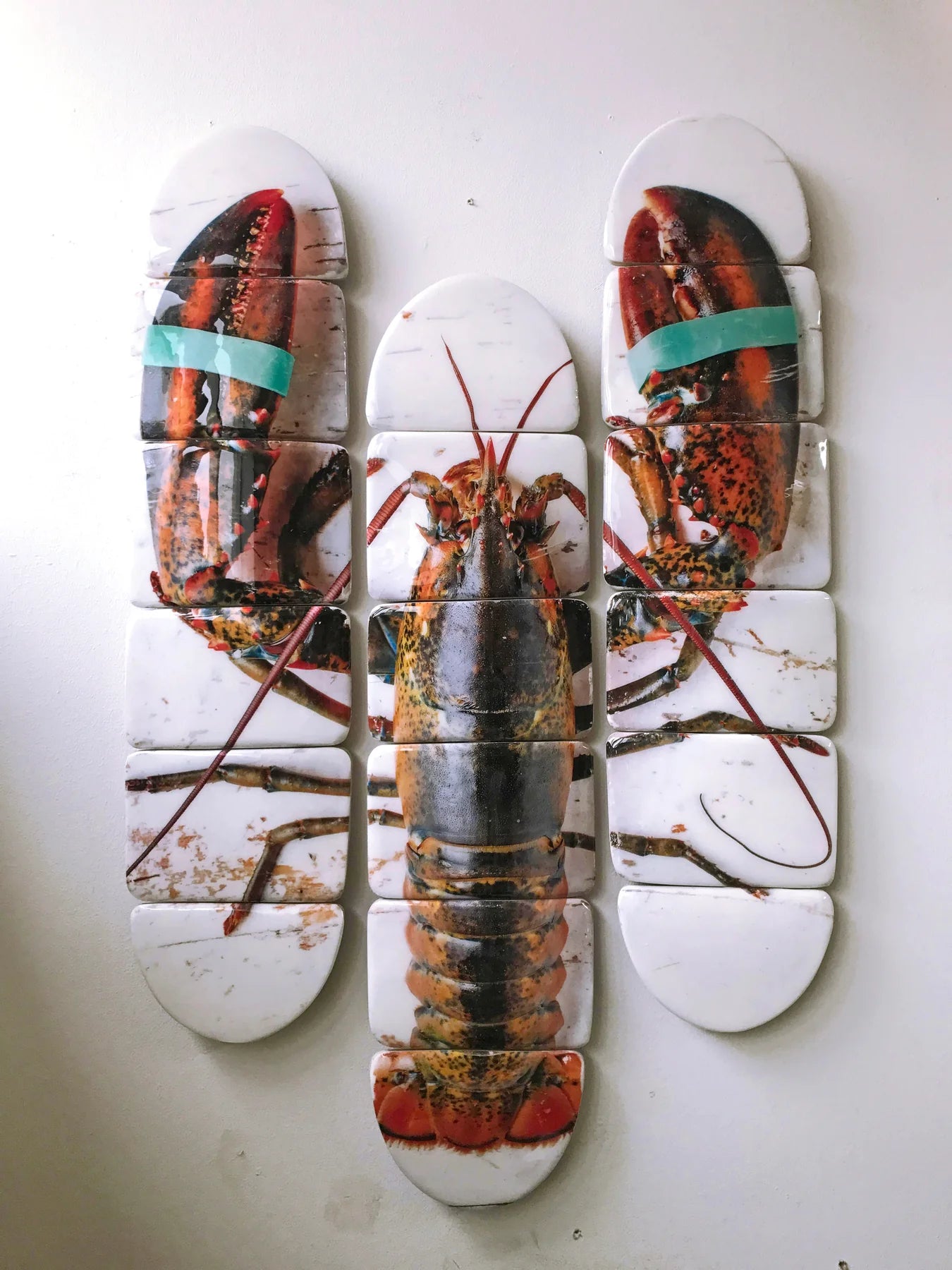 StigerWoods wooden tile Canner Lobster Skateboard Decks