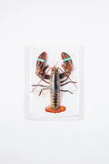 StigerWoods wooden tile Canner Lobster with Elastics