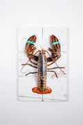 StigerWoods wooden tile Canner Lobster with Elastics