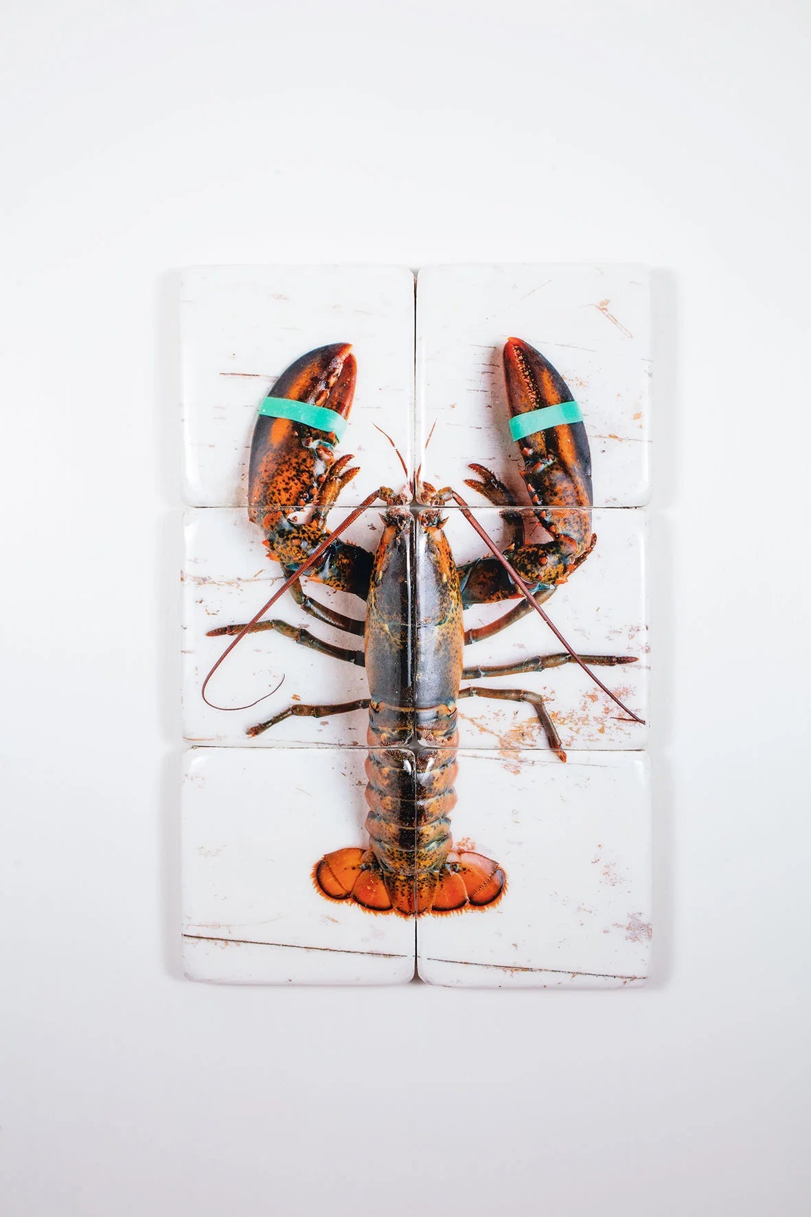 StigerWoods wooden tile Canner Lobster with Elastics