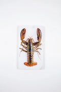 StigerWoods wooden tile Canner Lobster on Ice