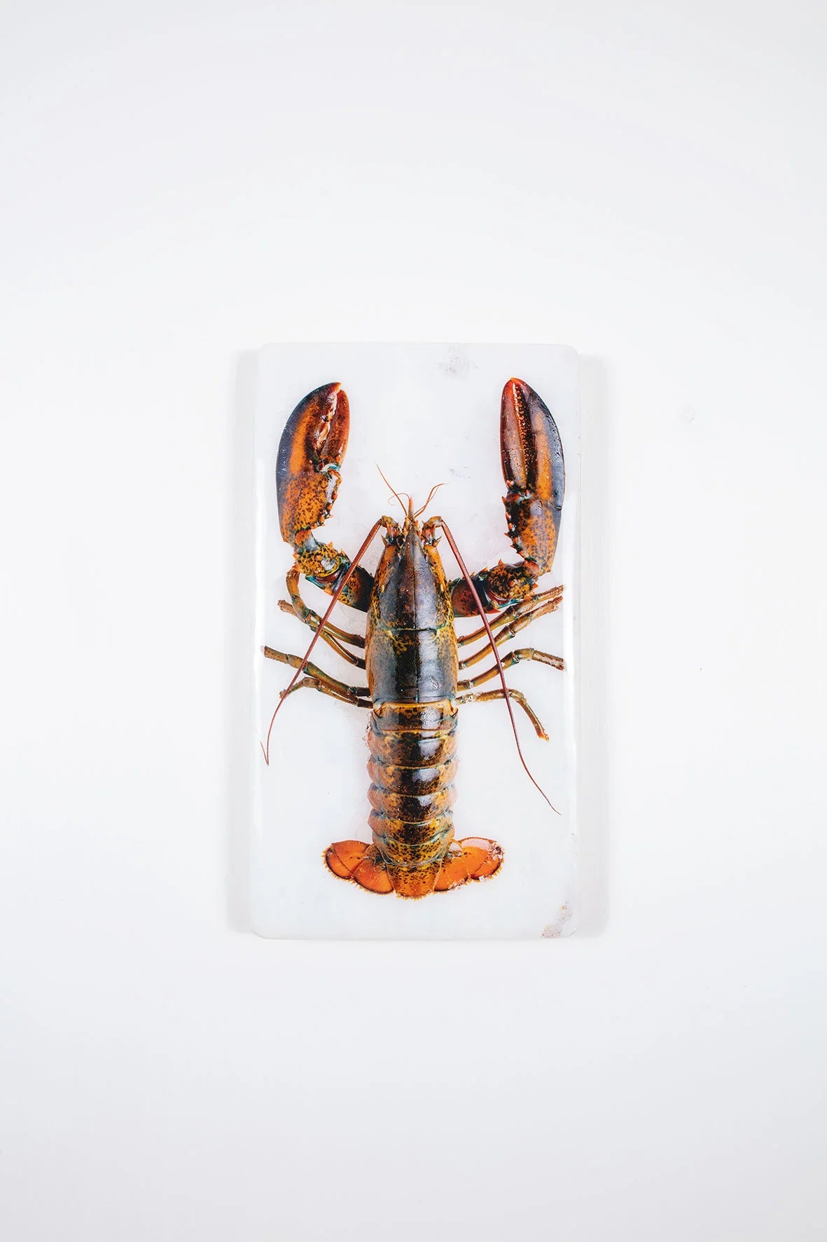 StigerWoods wooden tile Canner Lobster on Ice