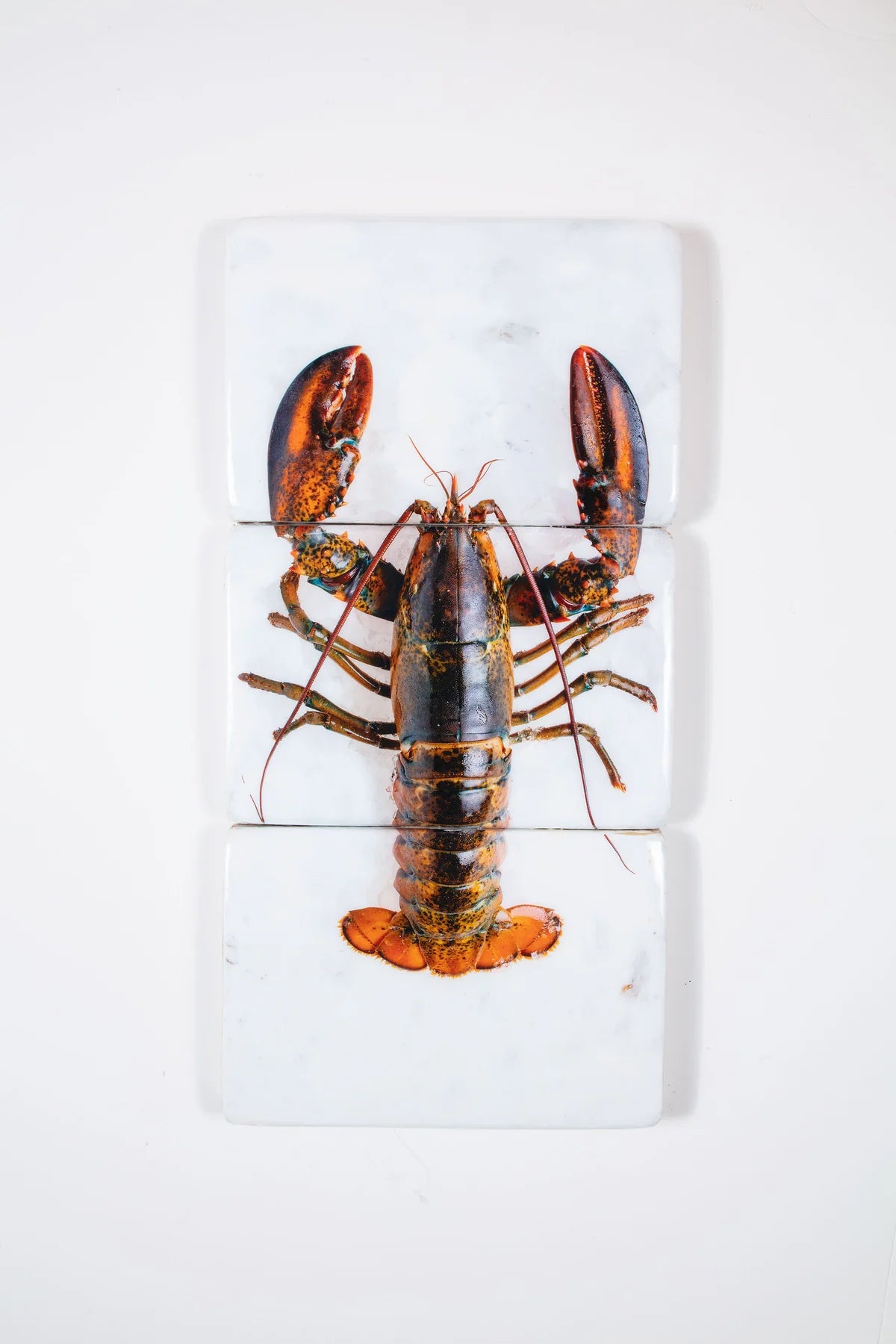 StigerWoods wooden tile Canner Lobster on Ice