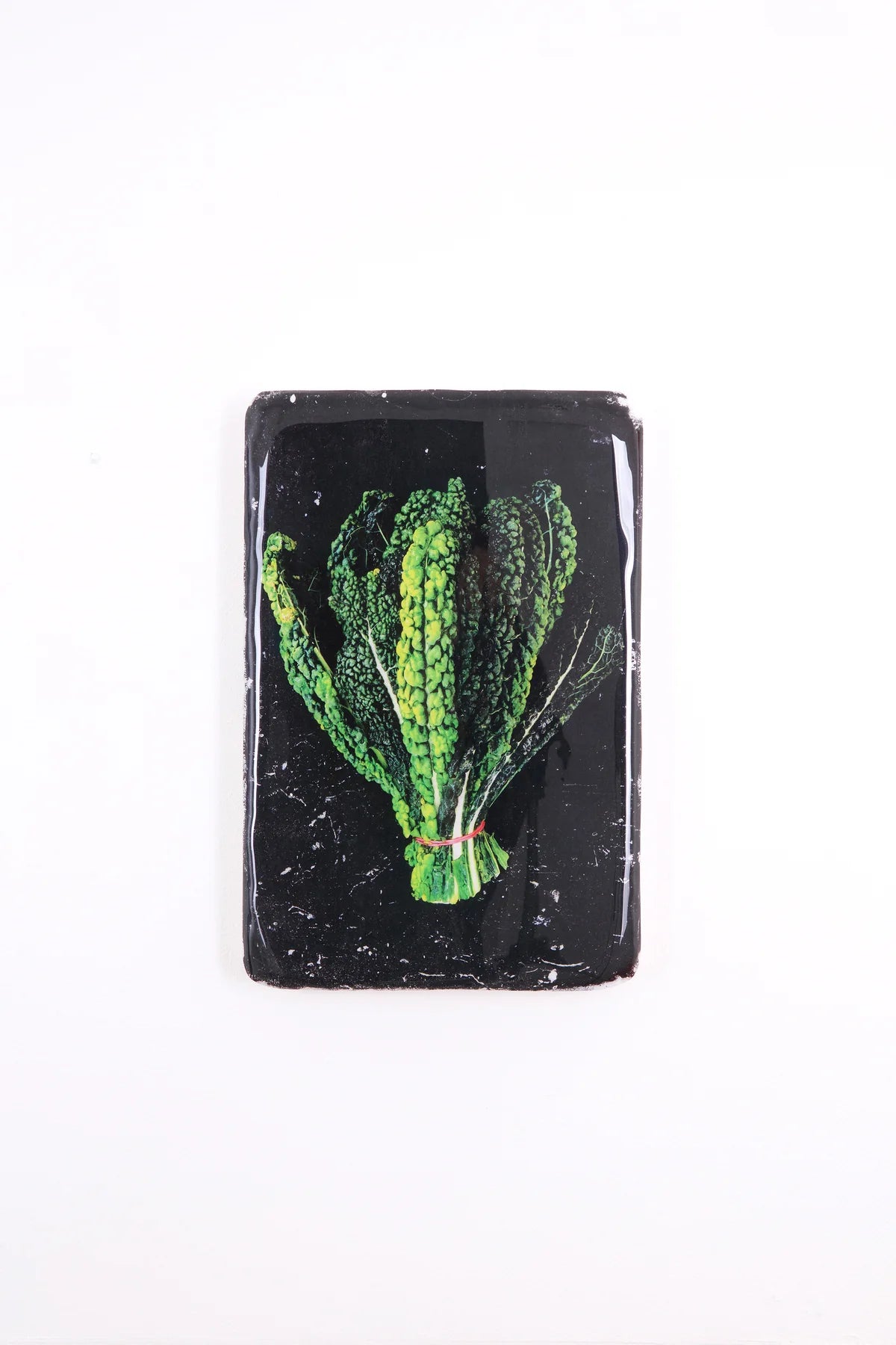 StigerWoods wooden tile Cavolo Nero on Black