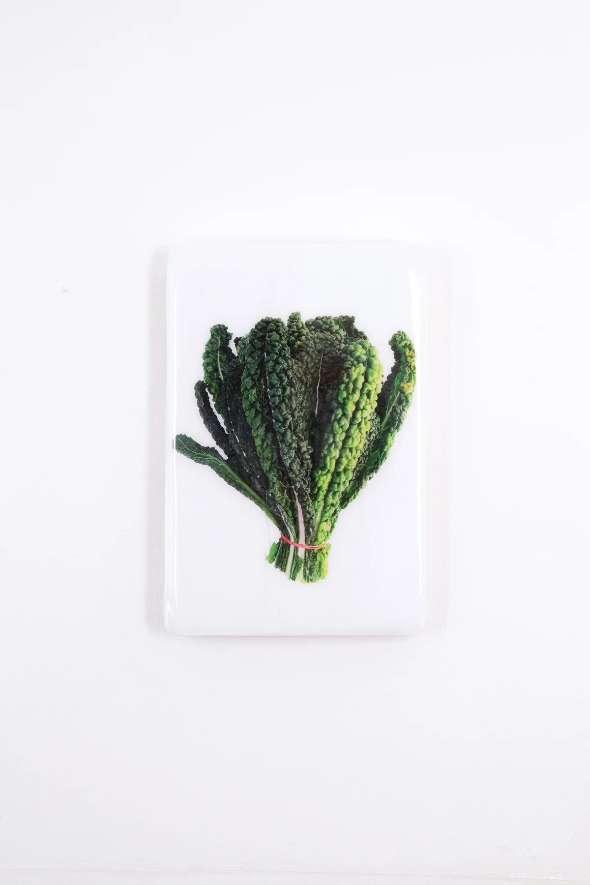 StigerWoods wooden tile Cavolo Nero on White