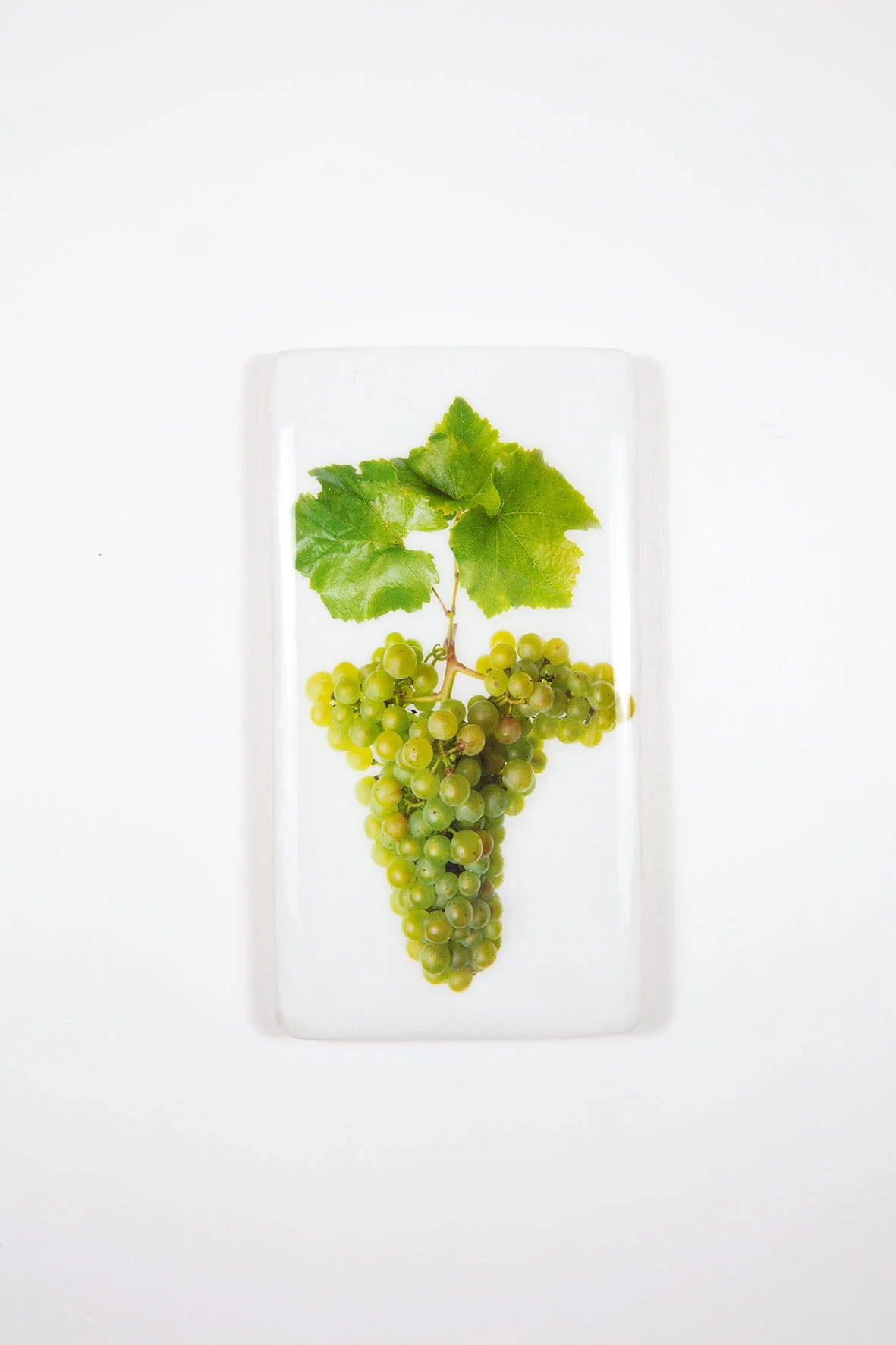 StigerWoods wooden tile Champagne Moët et Chandon Chardonnay