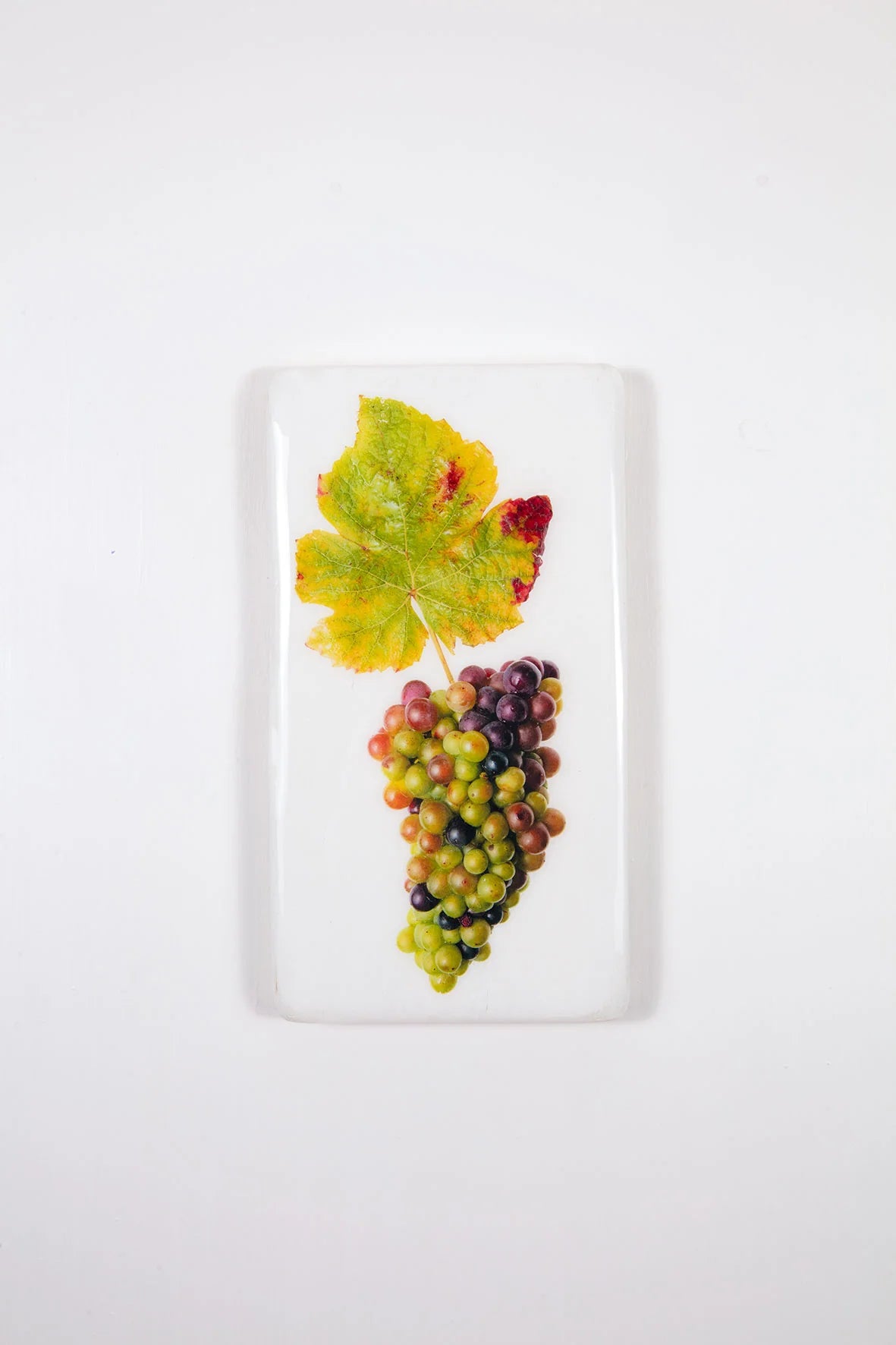 StigerWoods wooden tile Champagne Moët et Chandon Pinot Noir