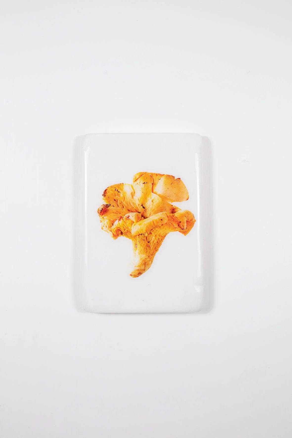 StigerWoods wooden tile Chanterelle