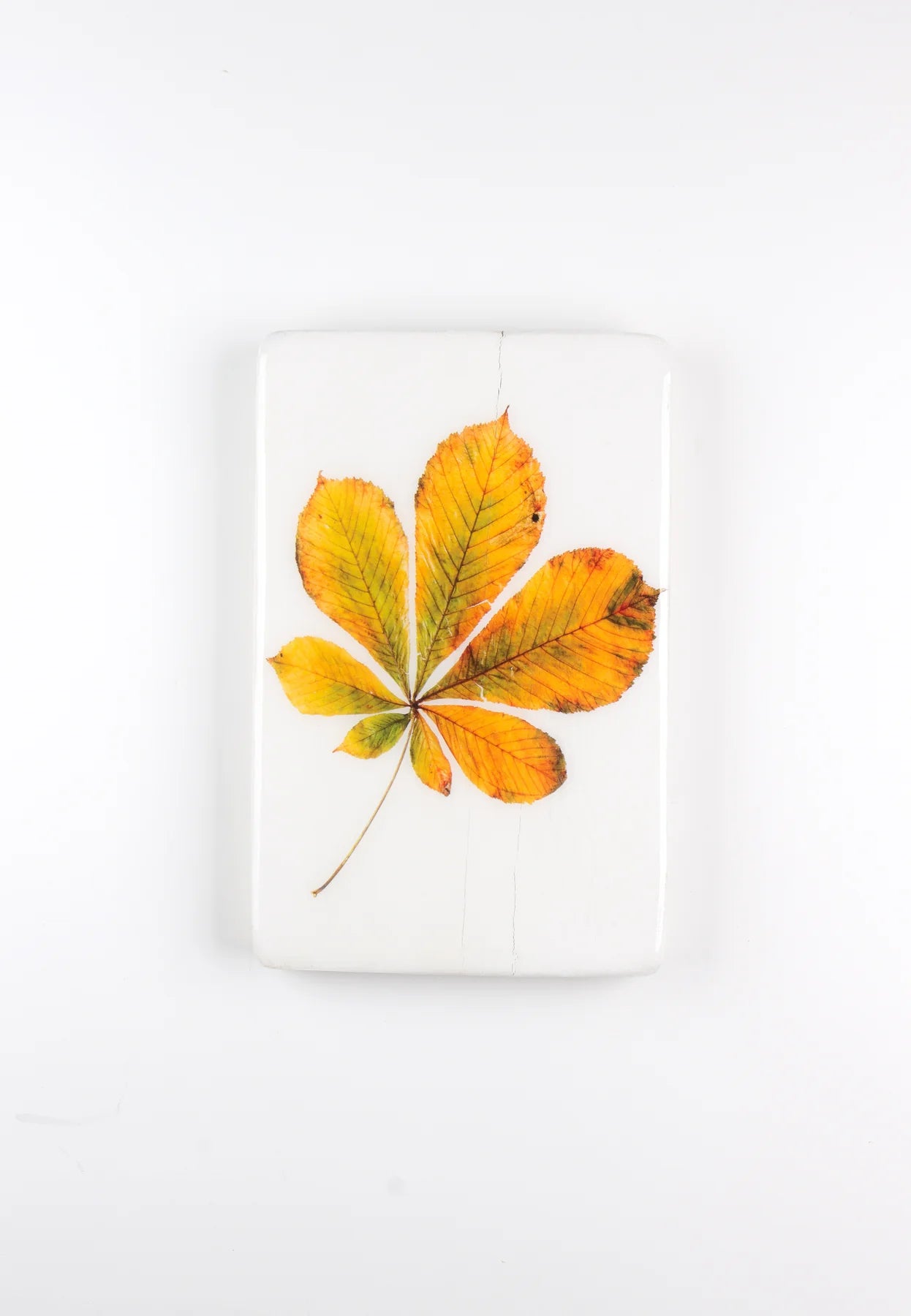 StigerWoods wooden tile Chestnut Leaf