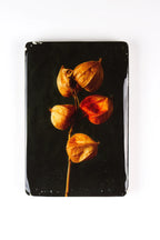StigerWoods wooden tile Chinese Lantern Plant