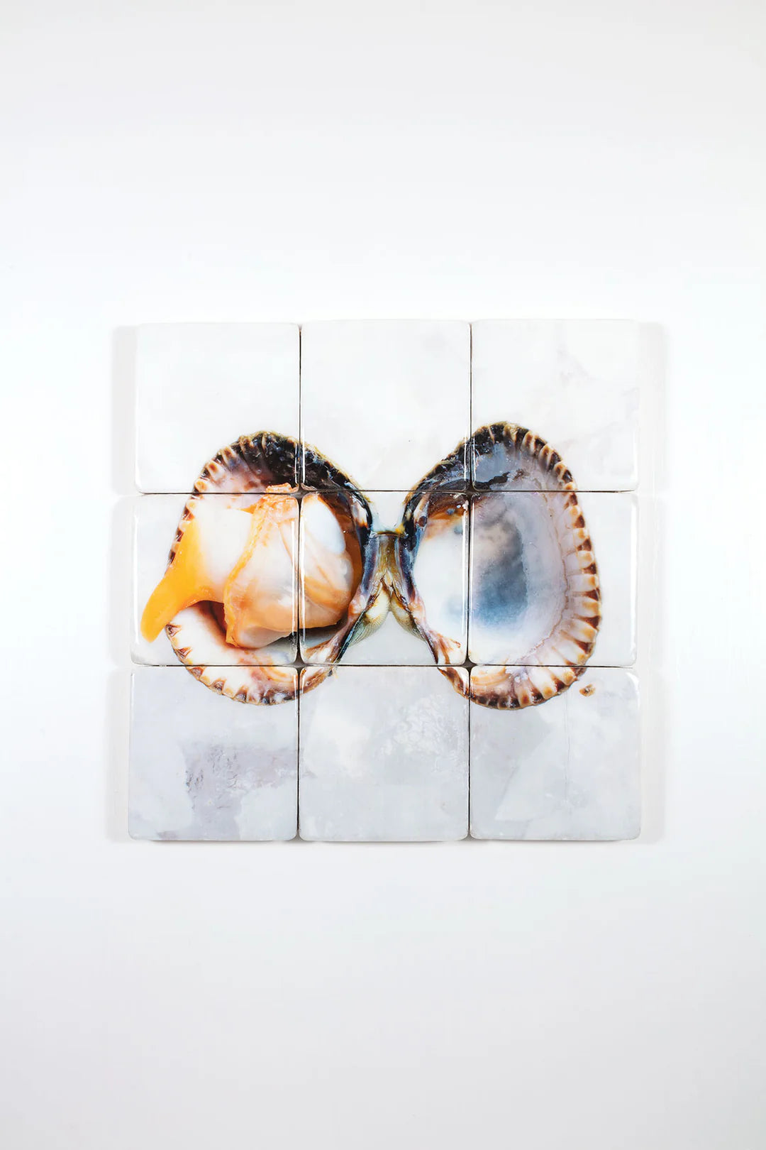 StigerWoods wooden tile Cockle