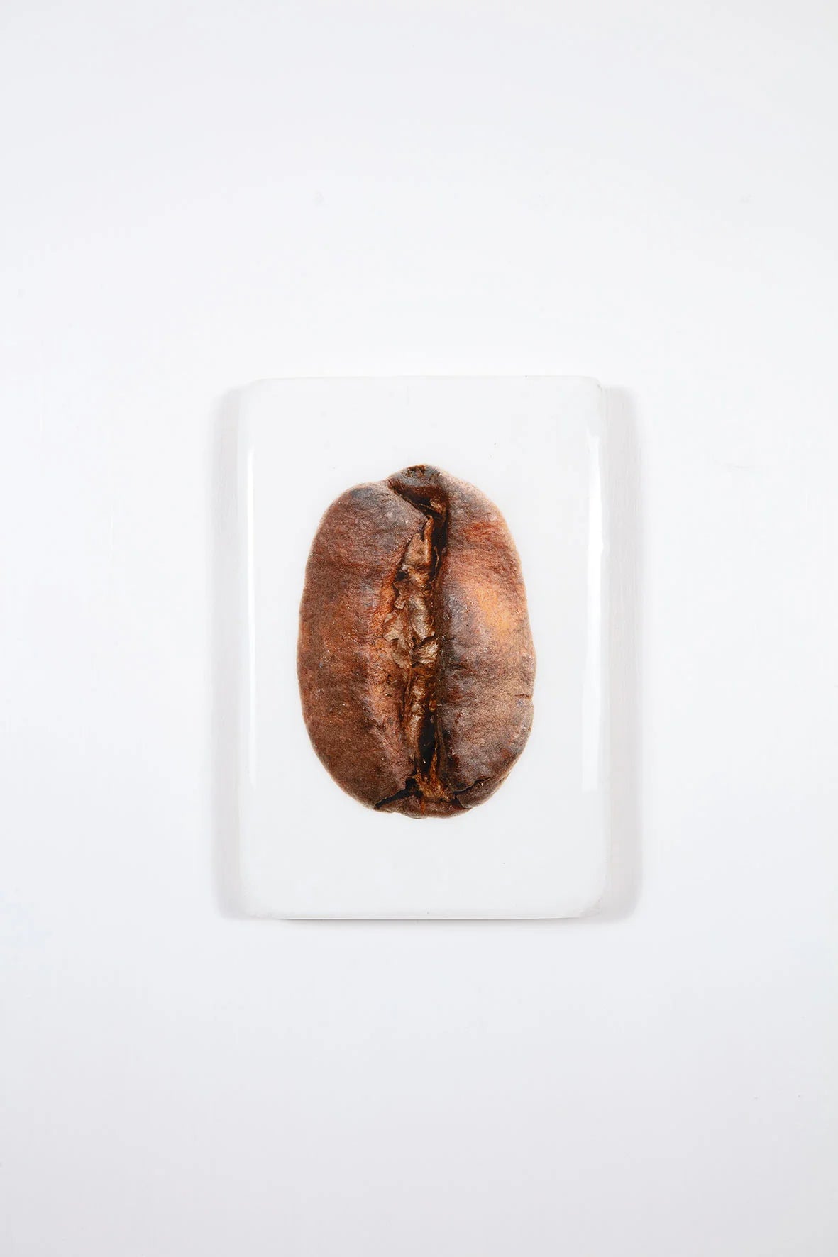 StigerWoods wooden tile Coffee Bean