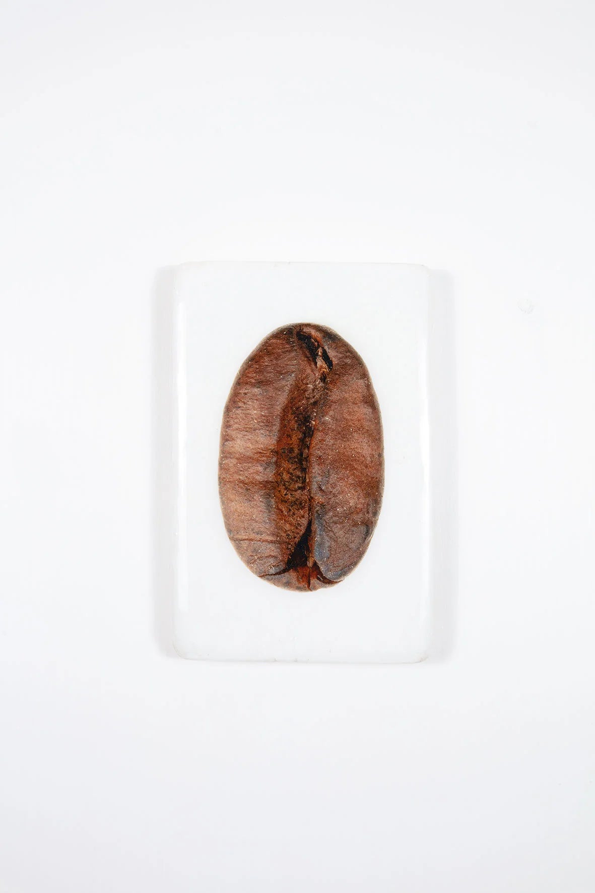StigerWoods wooden tile Coffee Bean