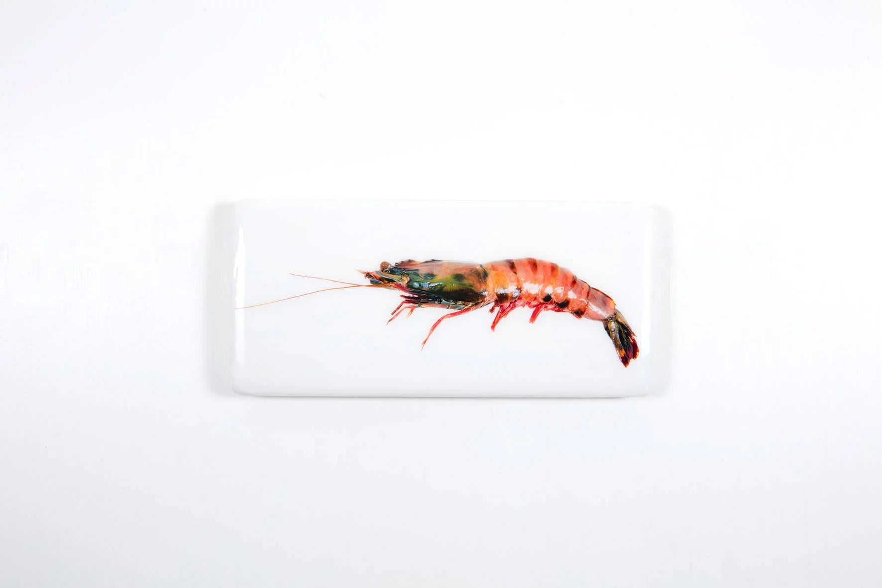 StigerWoods wooden tile Coloured Giant Shrimp
