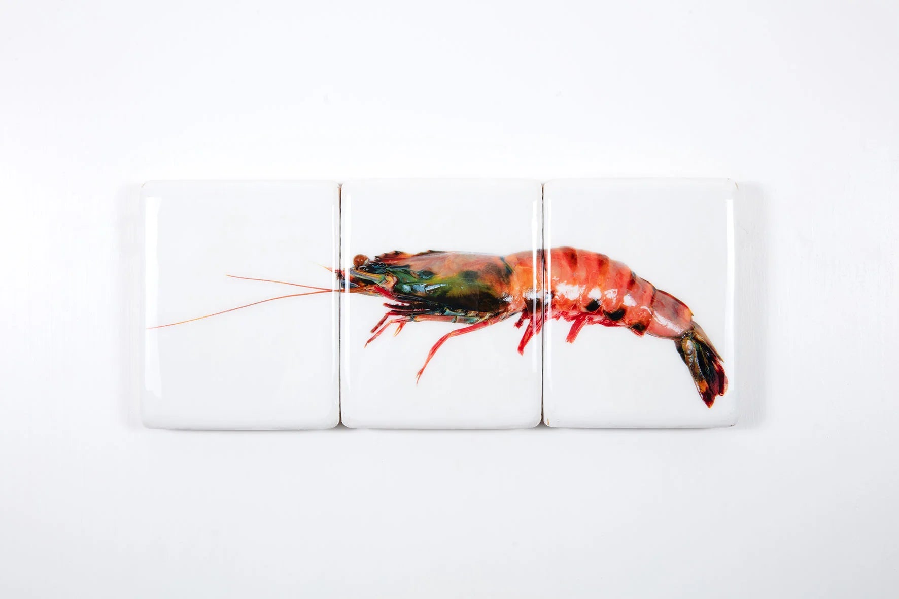 StigerWoods wooden tile Coloured Giant Shrimp