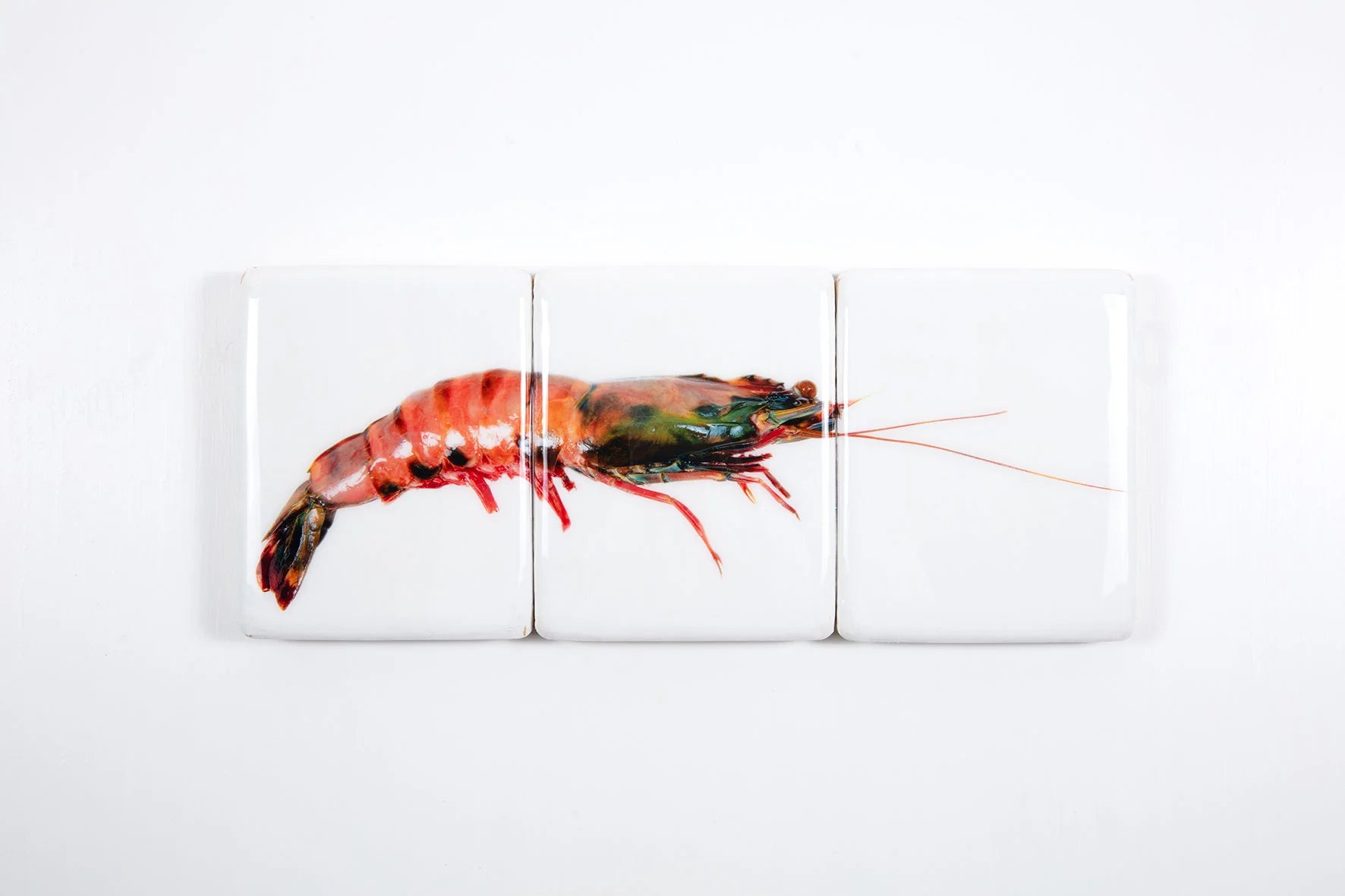 StigerWoods wooden tile Coloured Giant Shrimp