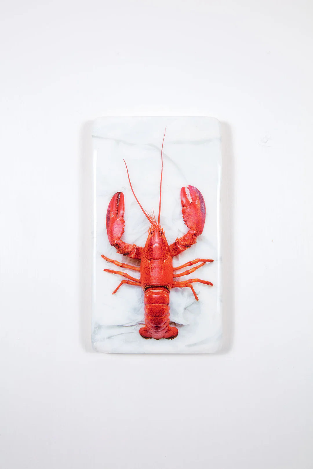 StigerWoods wooden tile Cooked Oosterschelde Lobster