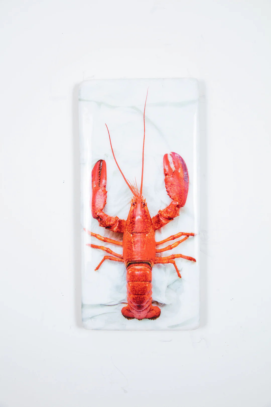 StigerWoods wooden tile Cooked Oosterschelde Lobster