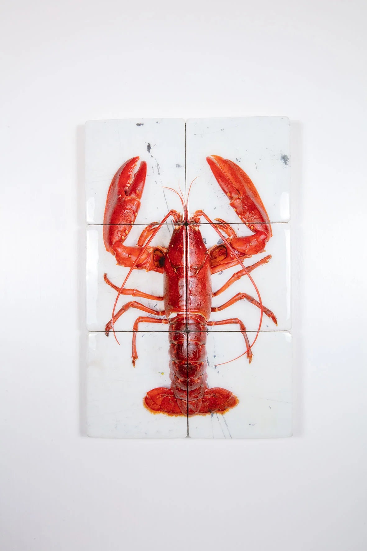 StigerWoods wooden tile Red Oosterschelde Lobster on White Table