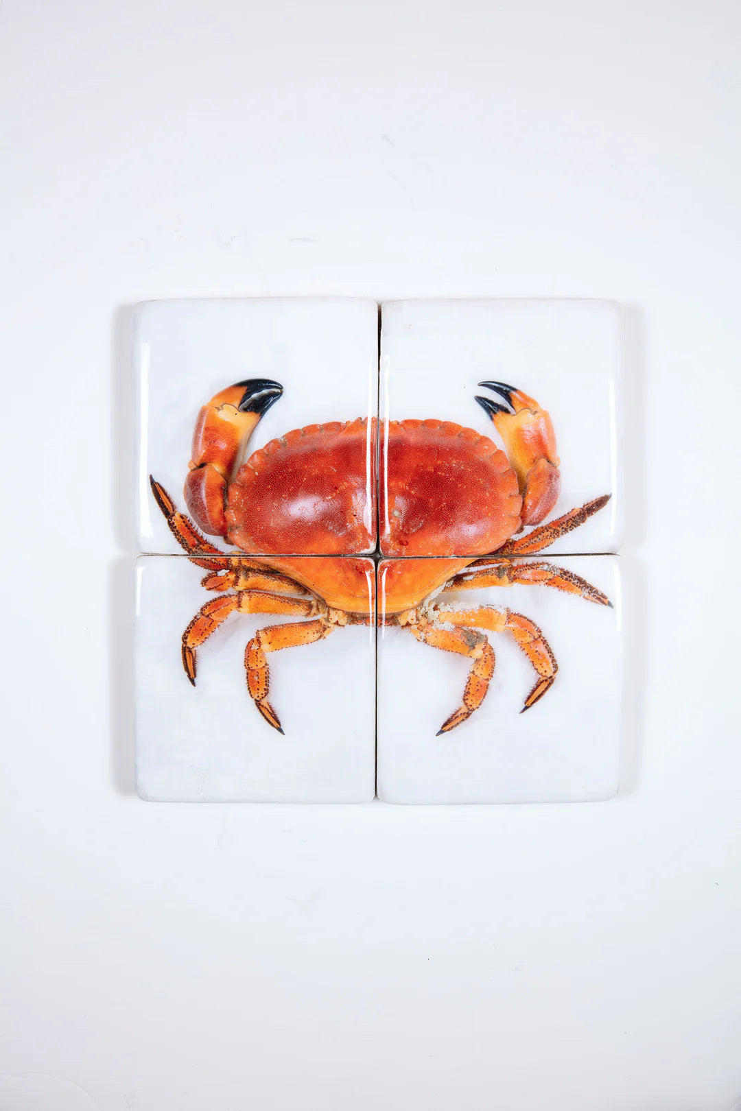 StigerWoods wooden tile Portuguese Crab