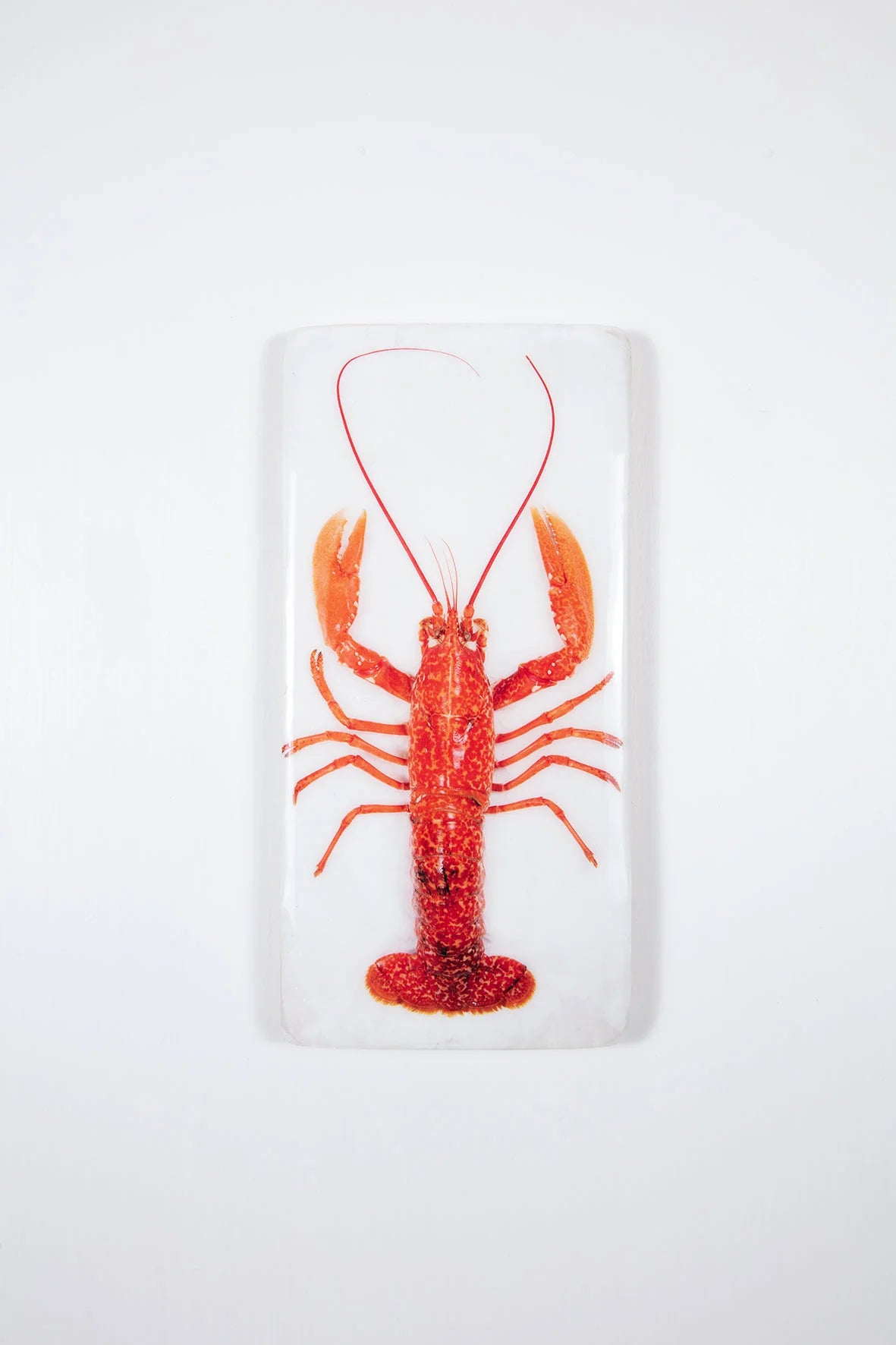StigerWoods wooden tile Cooked Portuguese Lobster
