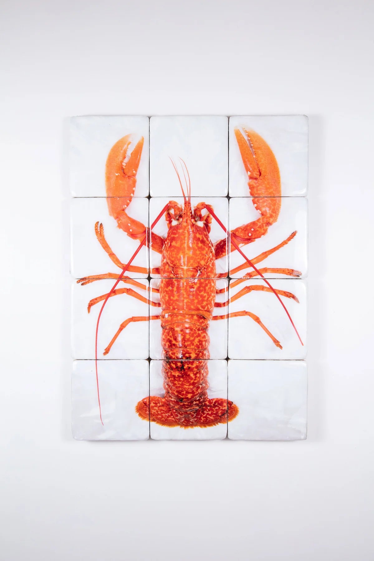 StigerWoods wooden tile Cooked Portuguese Lobster